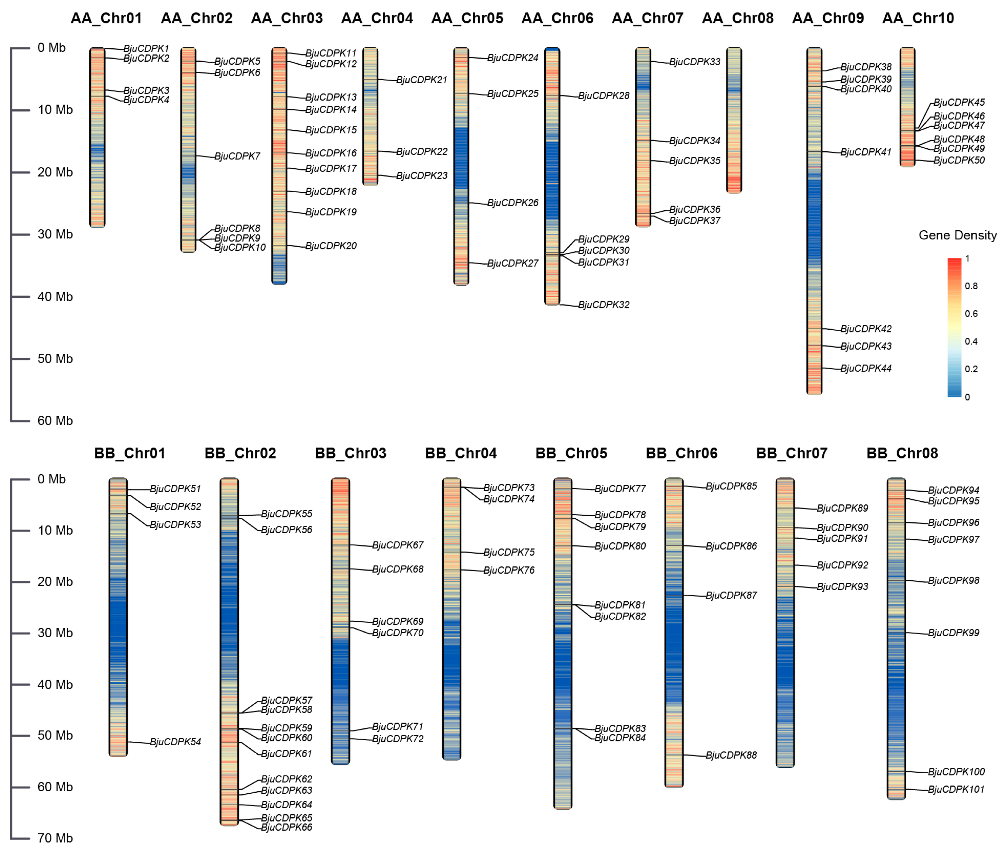 Horticulturae 10 00020 g001