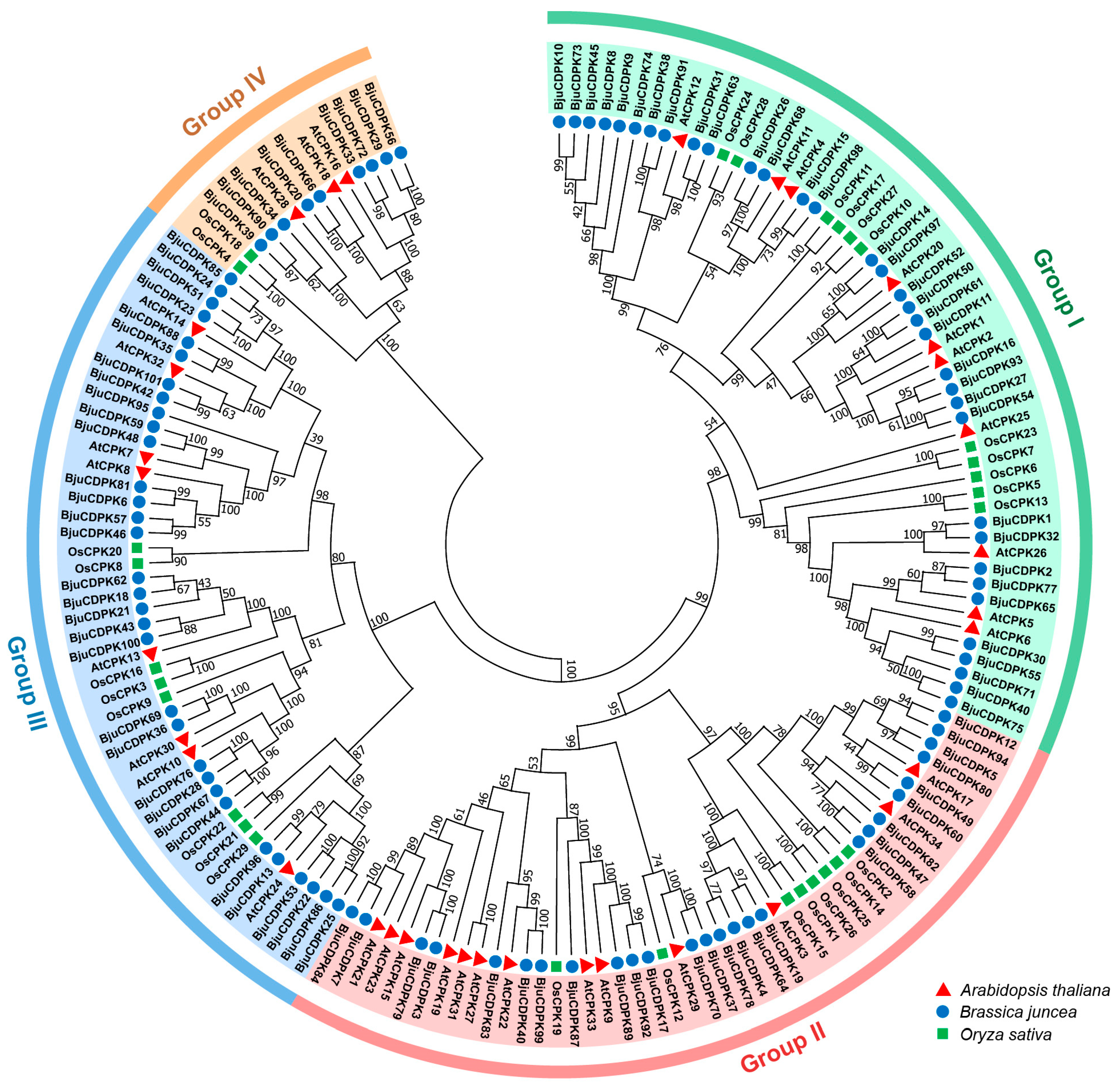 Horticulturae 10 00020 g002