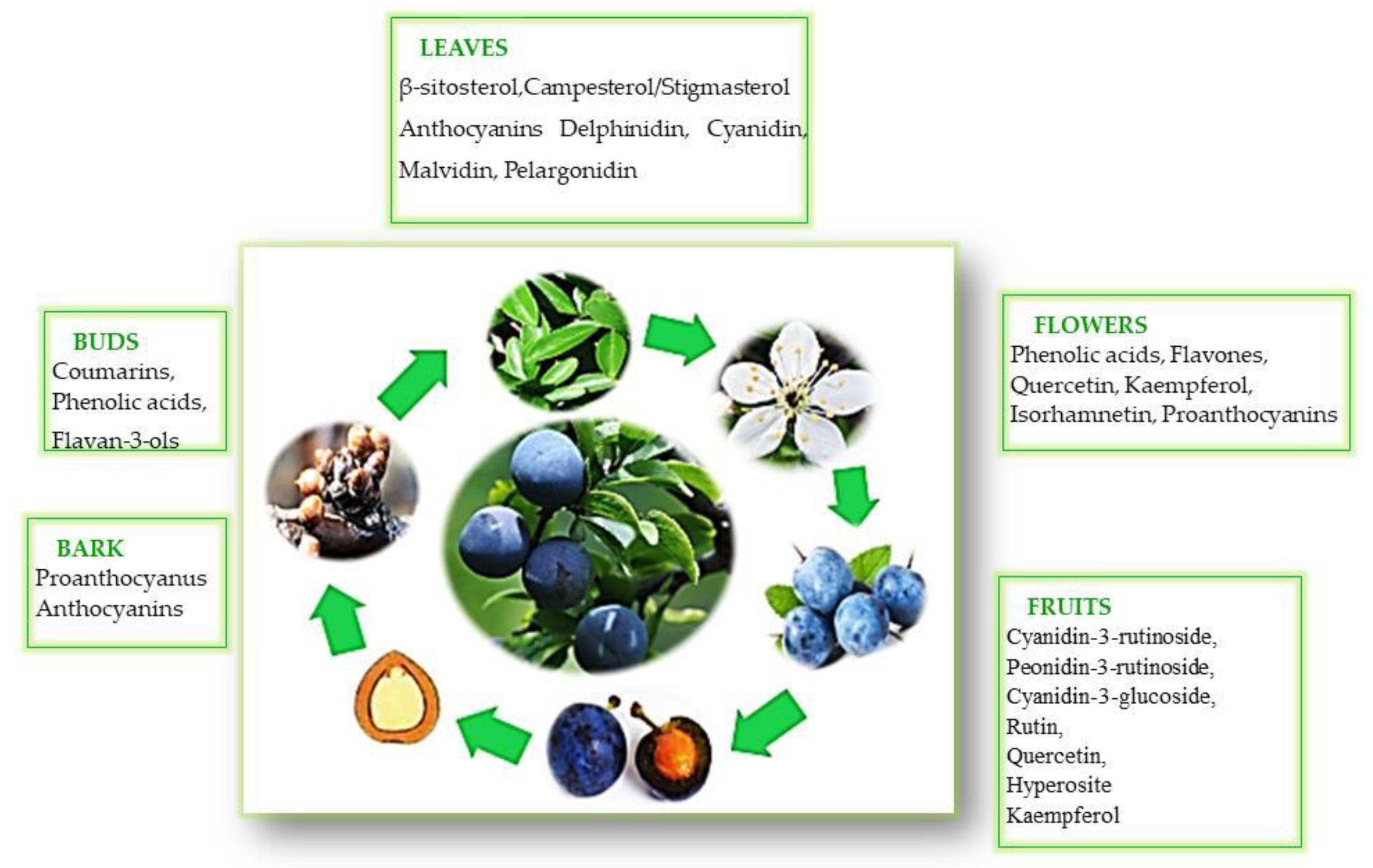 Horticulturae 10 00029 g003 Horticulturae 10 00029 g003