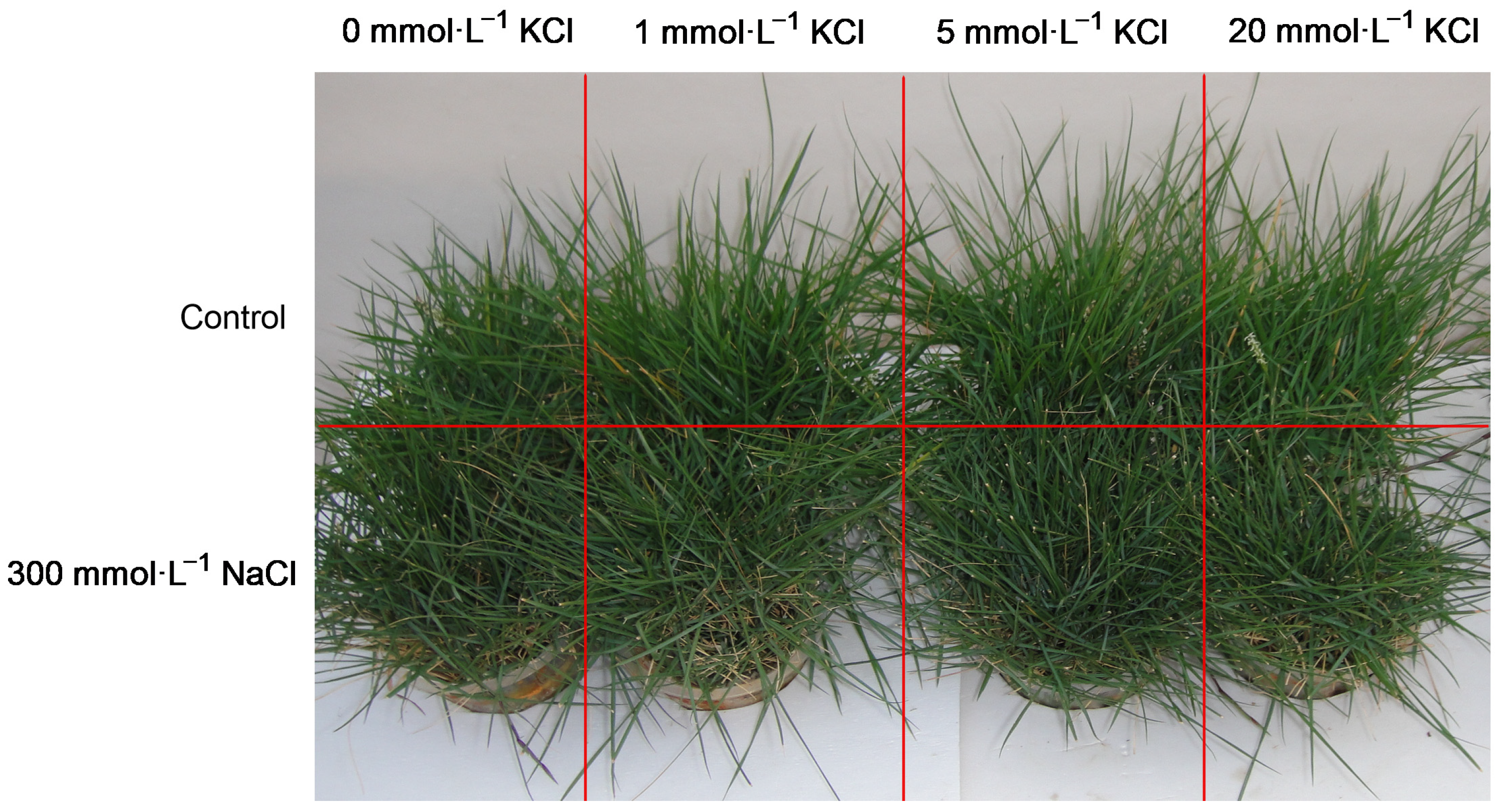 Horticulturae 10 00031 g0a1