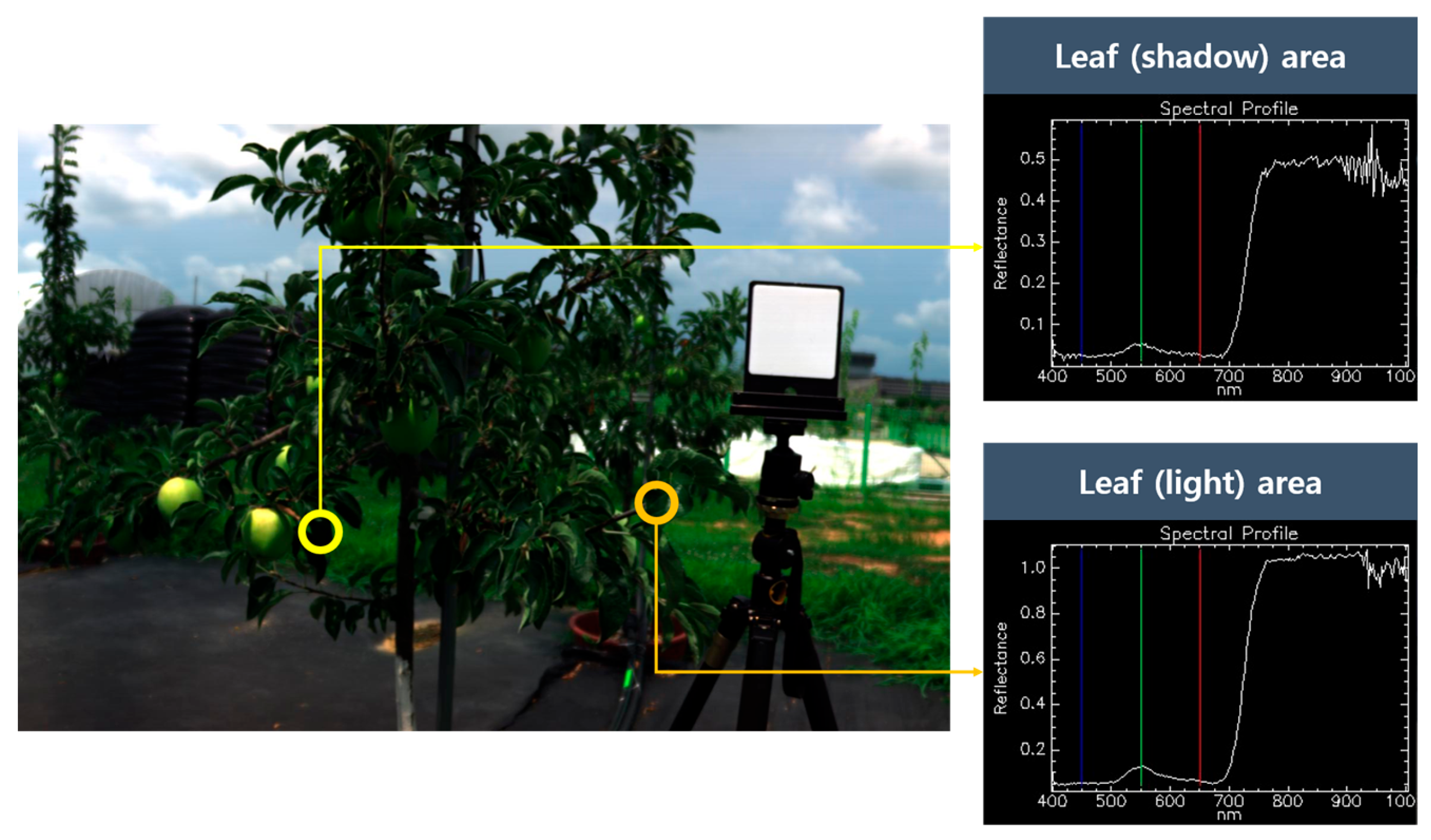 Horticulturae 10 00035 g002