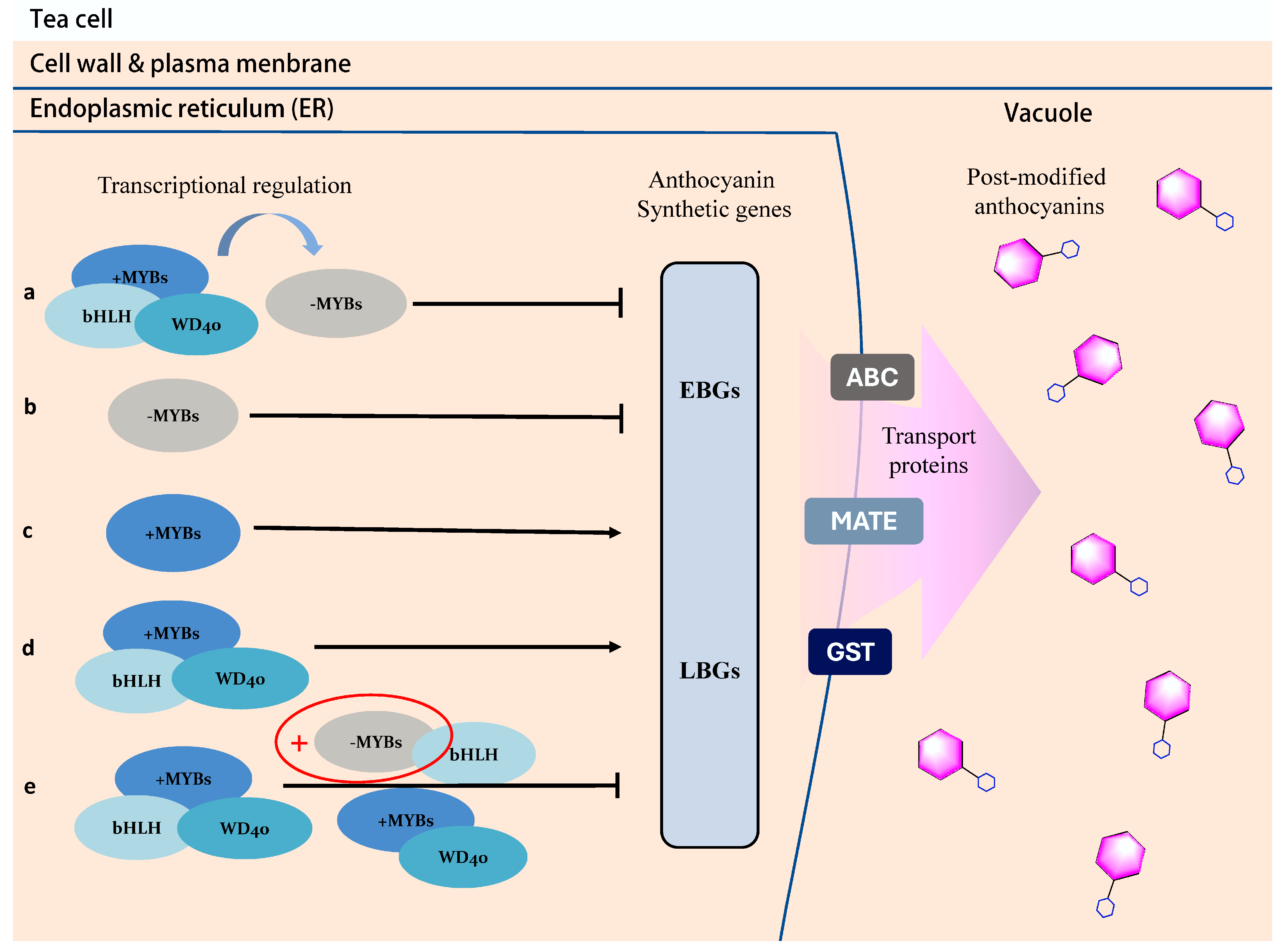 Horticulturae 10 00050 g002