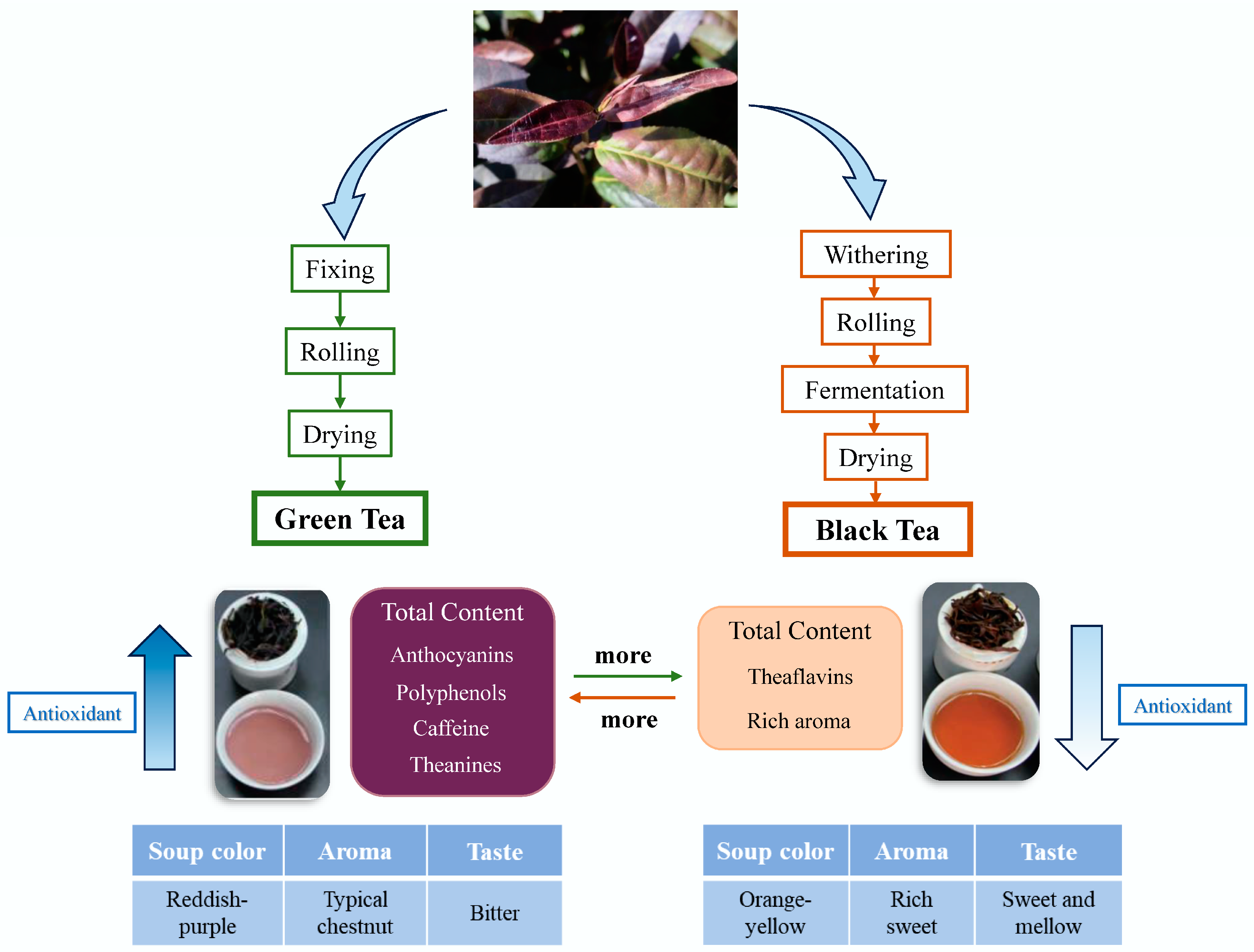 Horticulturae 10 00050 g004