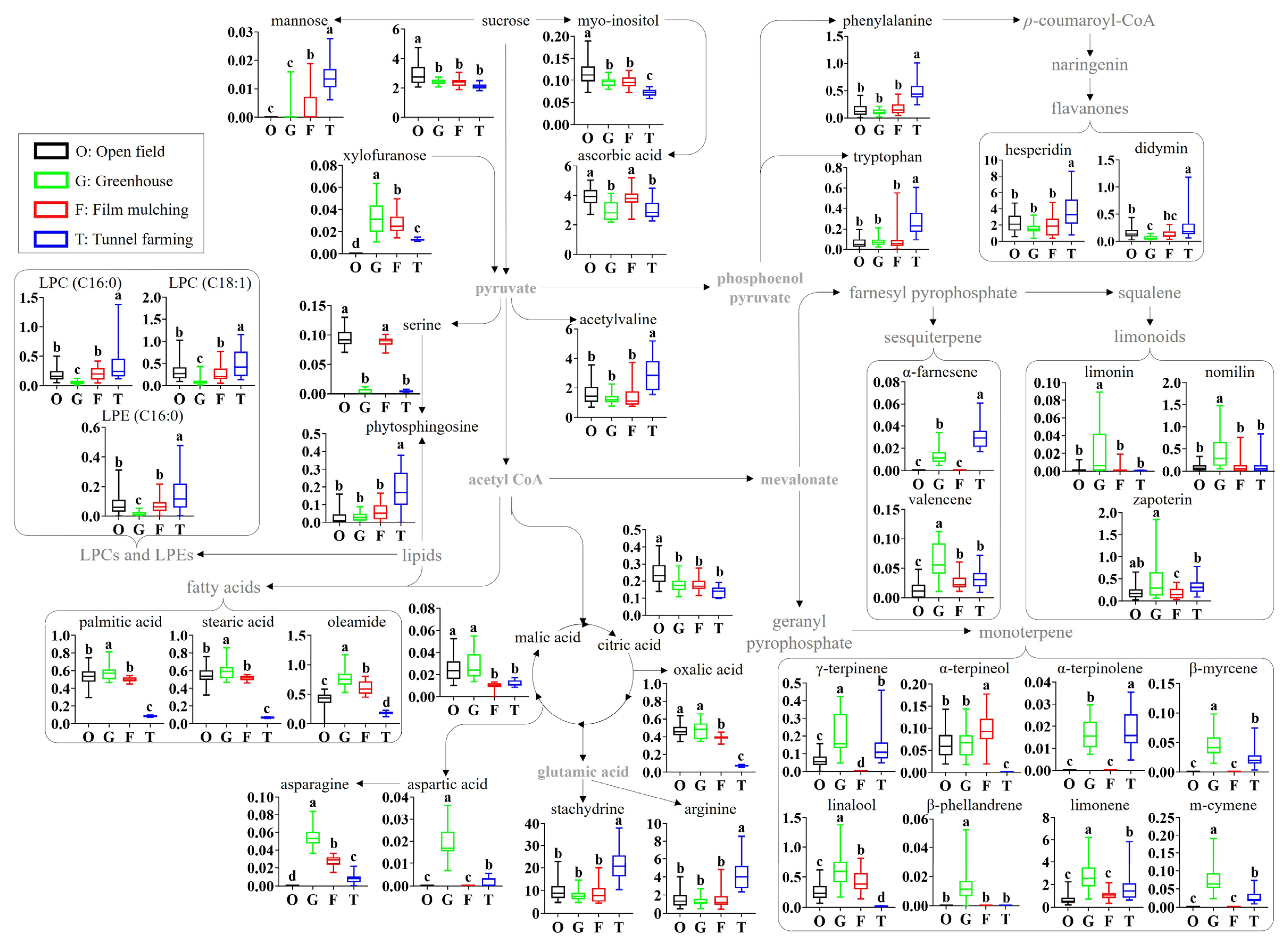 Horticulturae 10 00054 g003