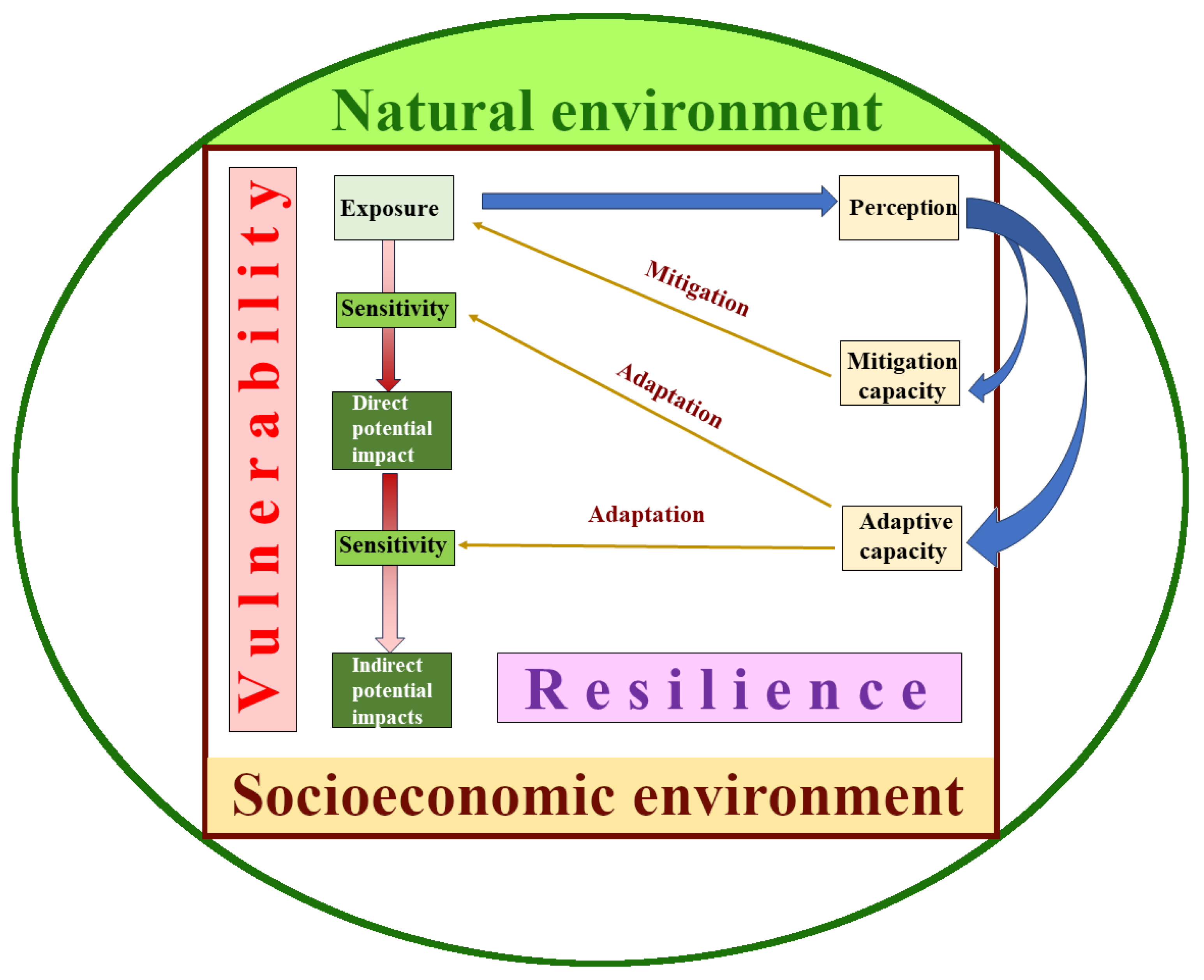 Horticulturae 10 00056 g001