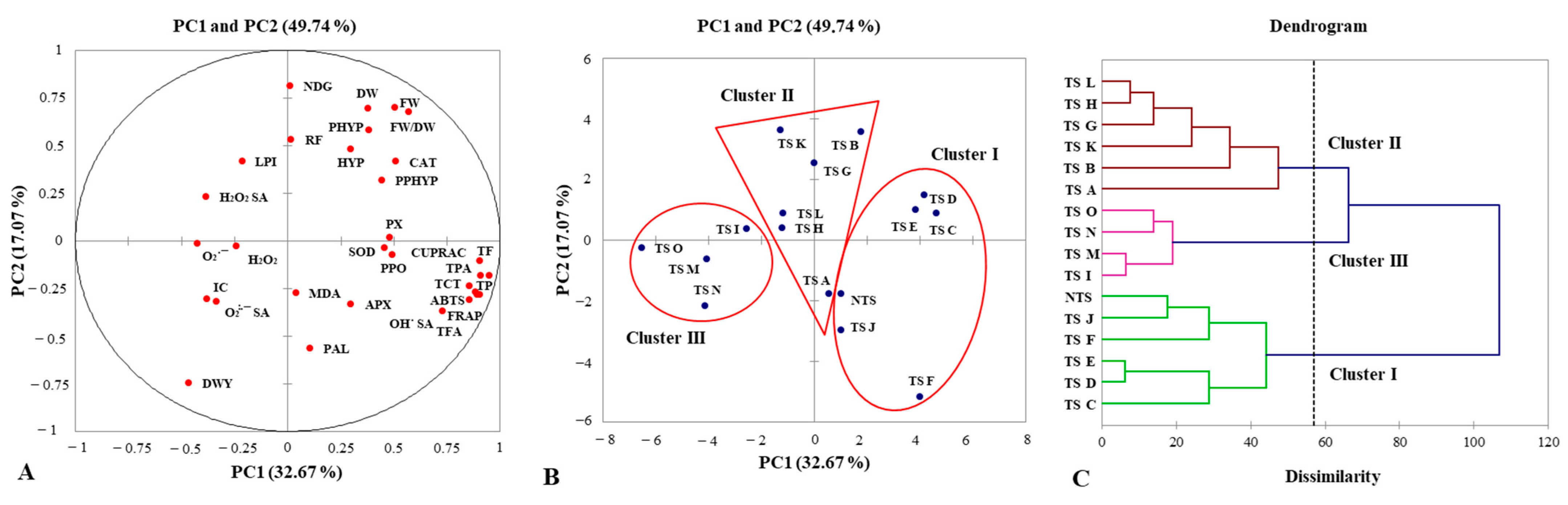 Horticulturae 10 00059 g003