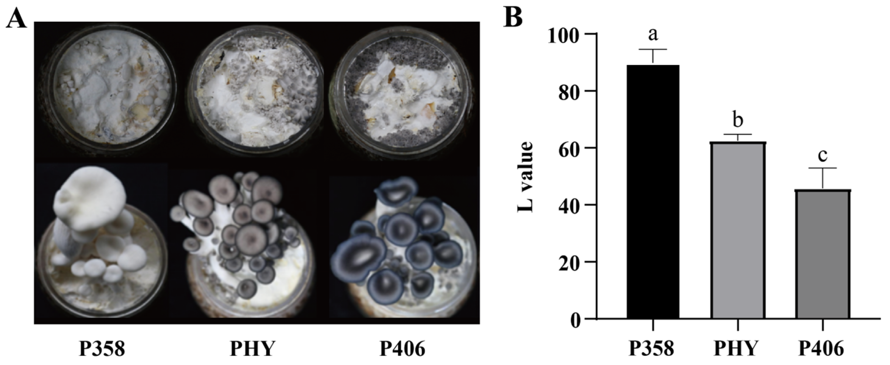Horticulturae 10 00060 g001