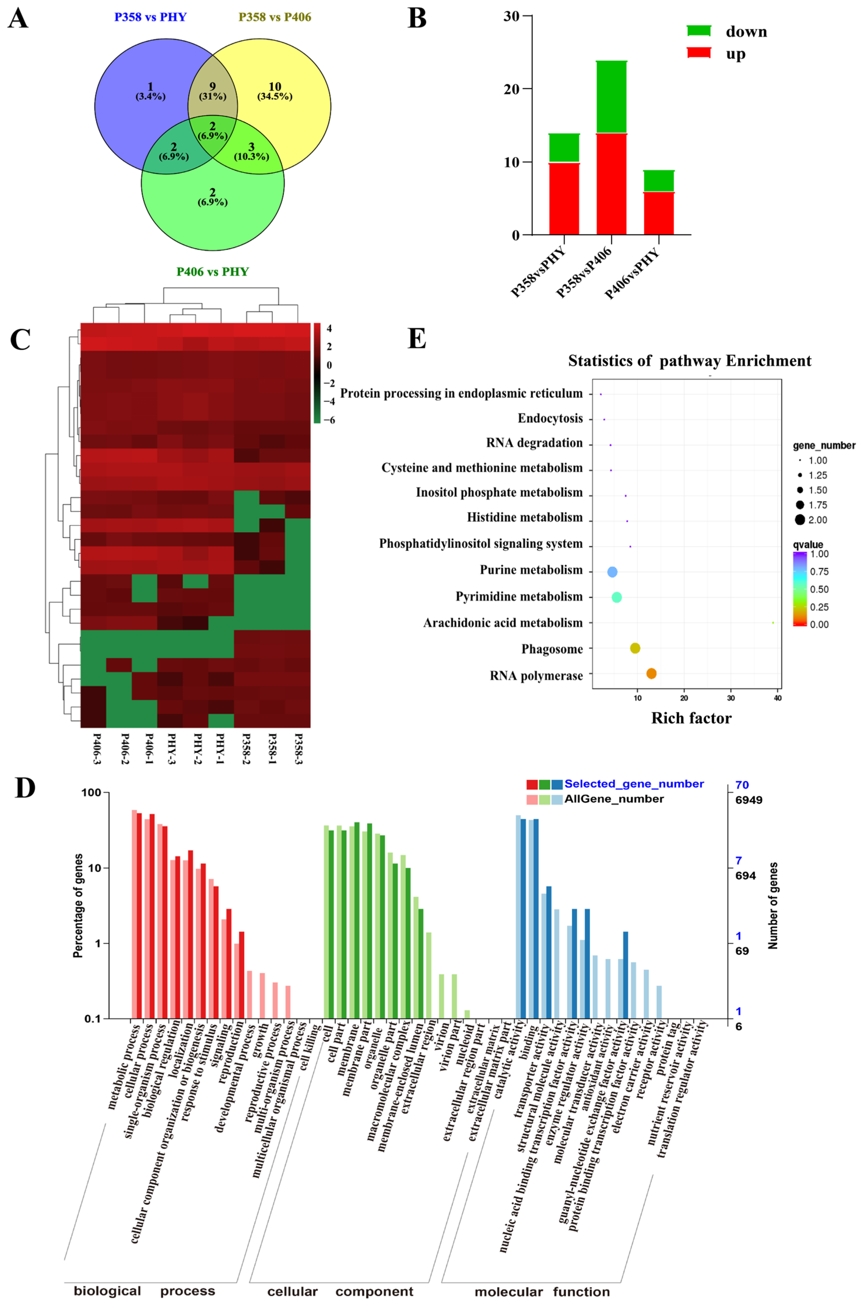Horticulturae 10 00060 g005