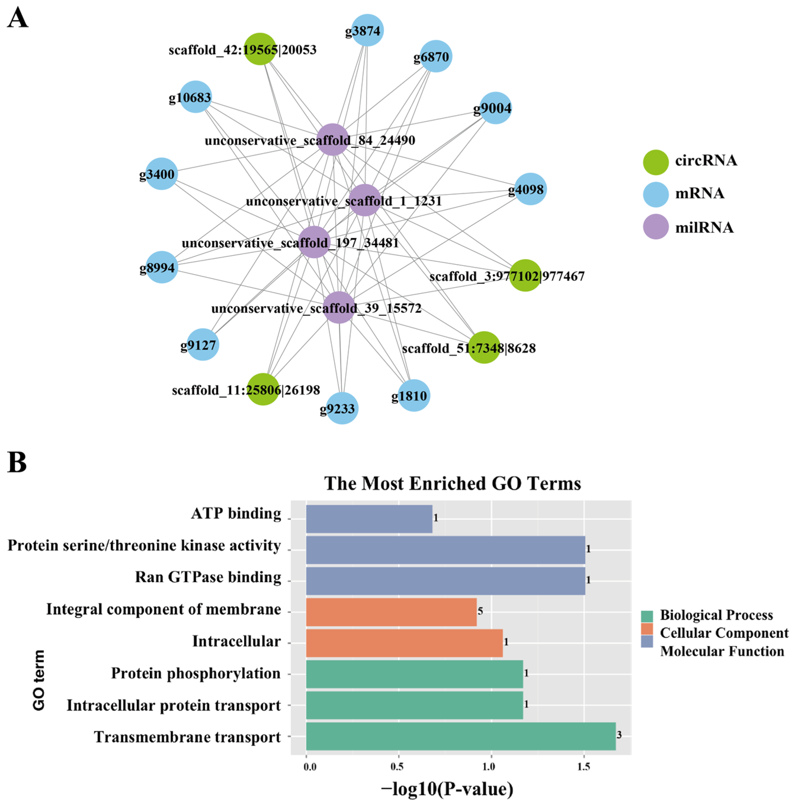 Horticulturae 10 00060 g007