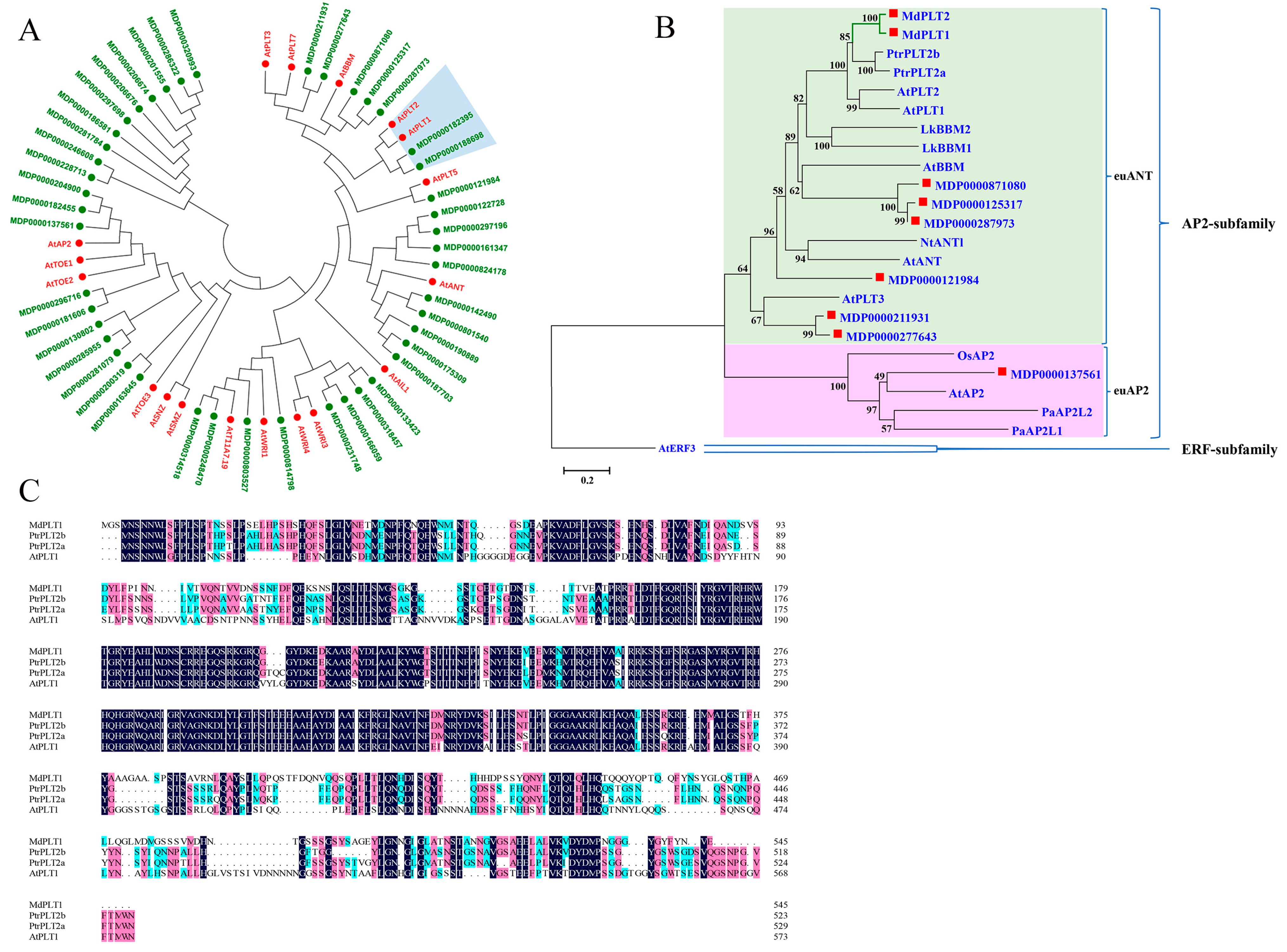 Horticulturae 10 00064 g001