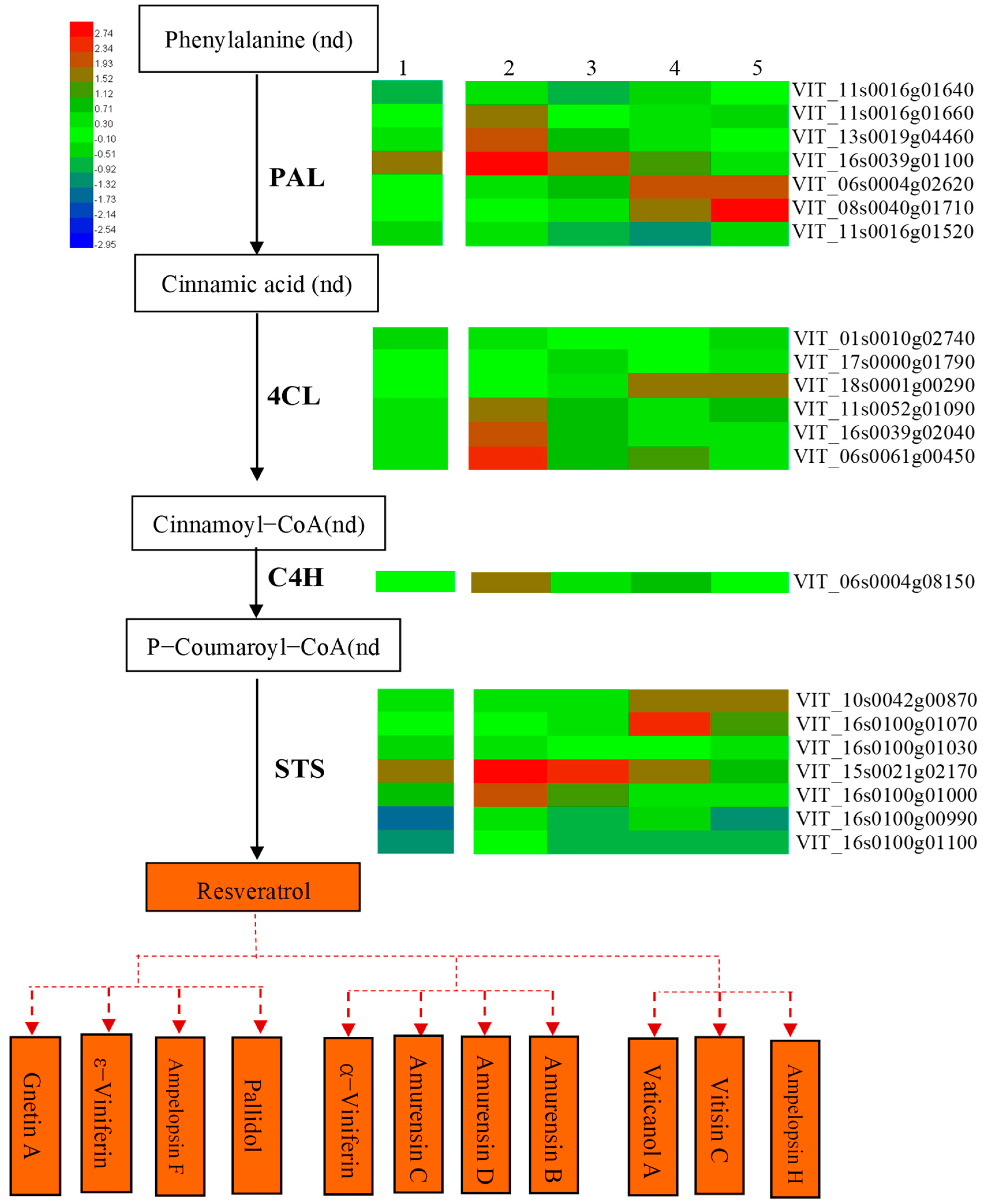 Horticulturae 10 00065 g004