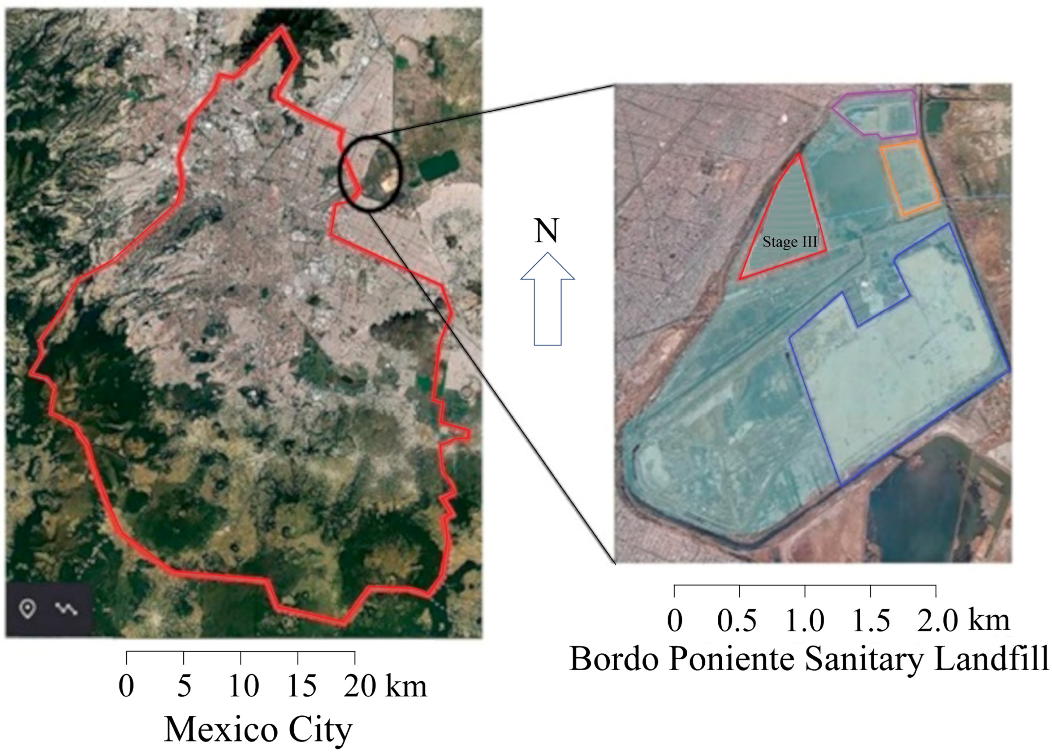 Horticulturae 10 00067 g002