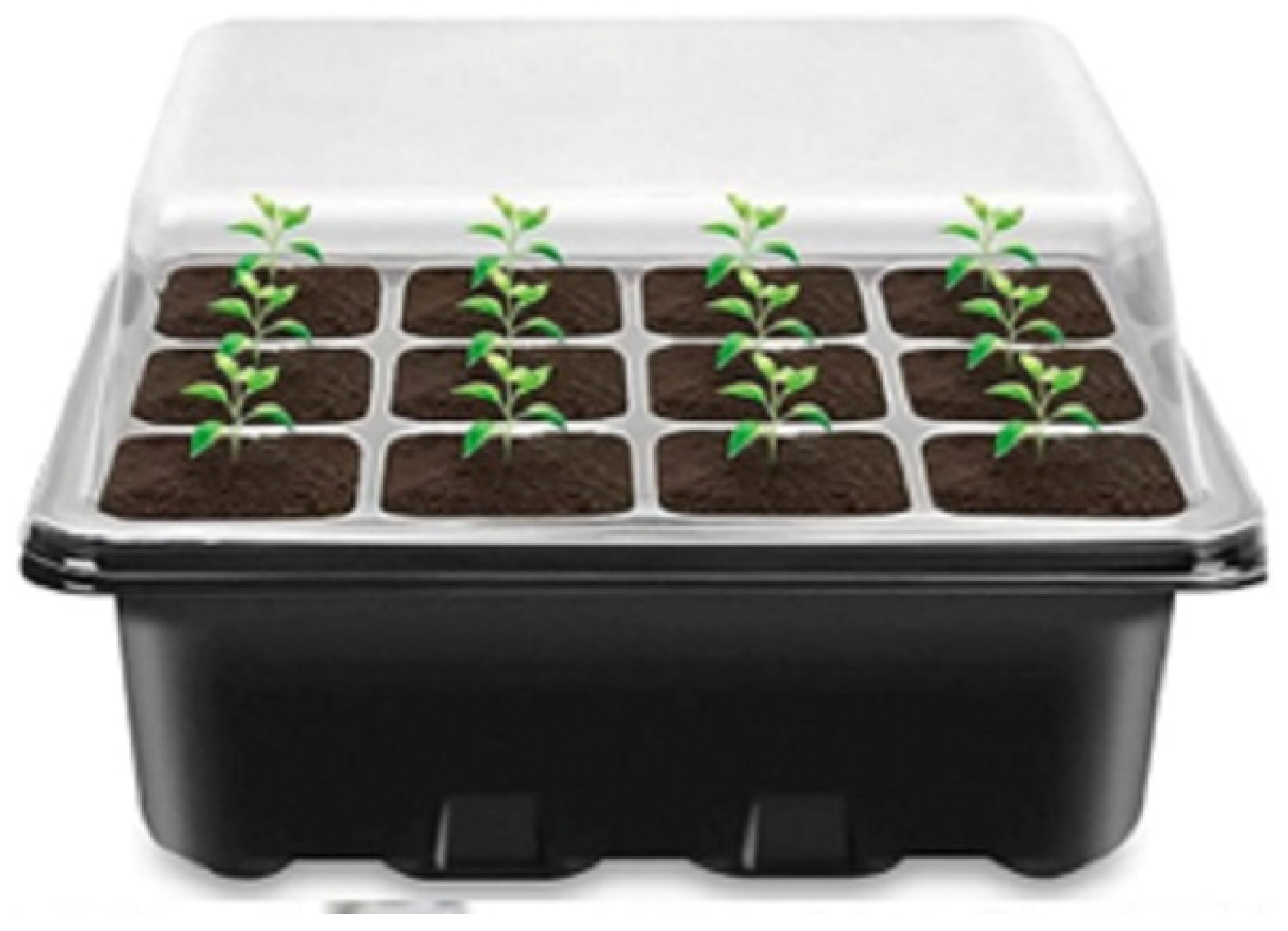 Horticulturae 10 00067 g004