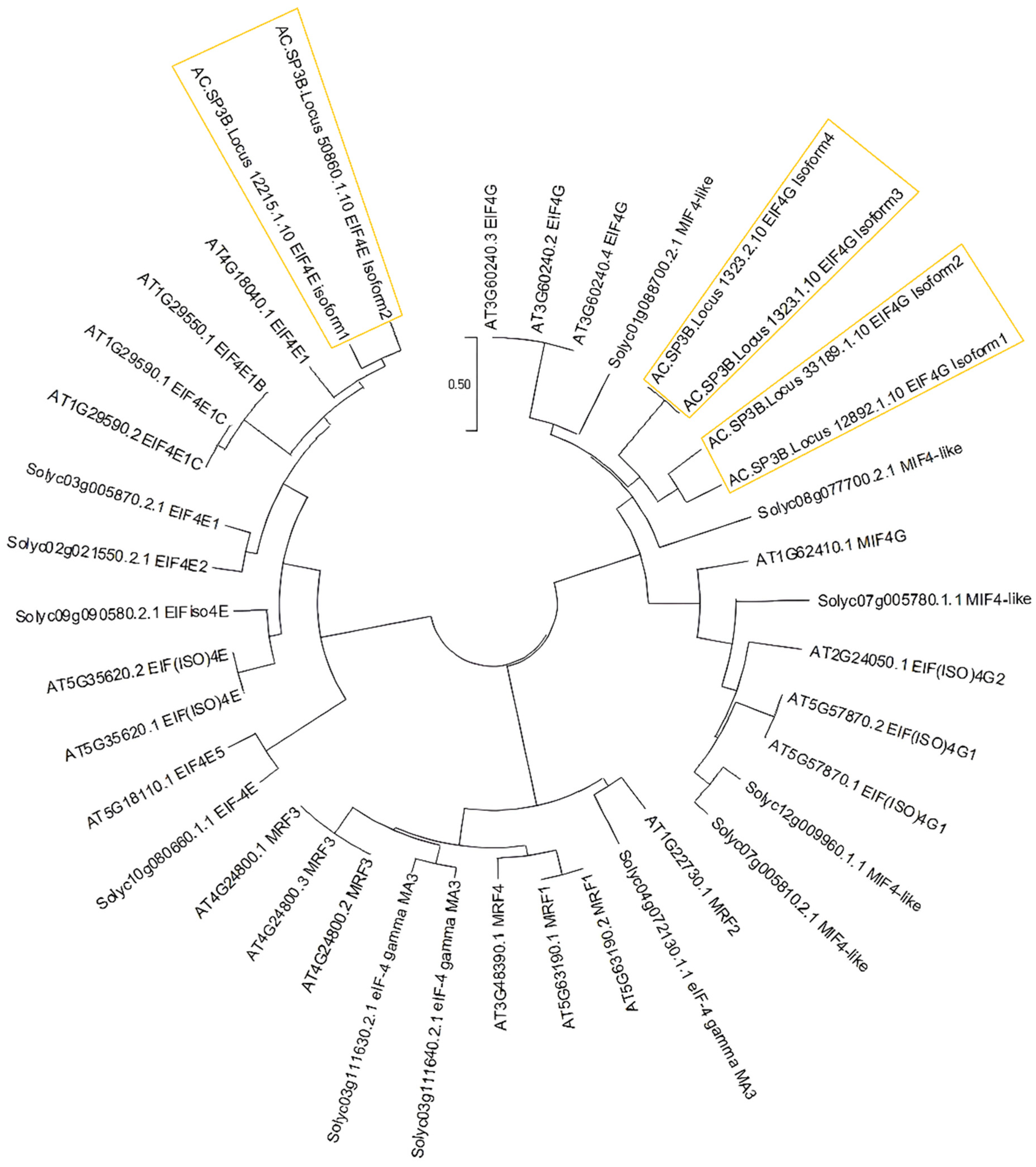 Horticulturae 10 00073 g006