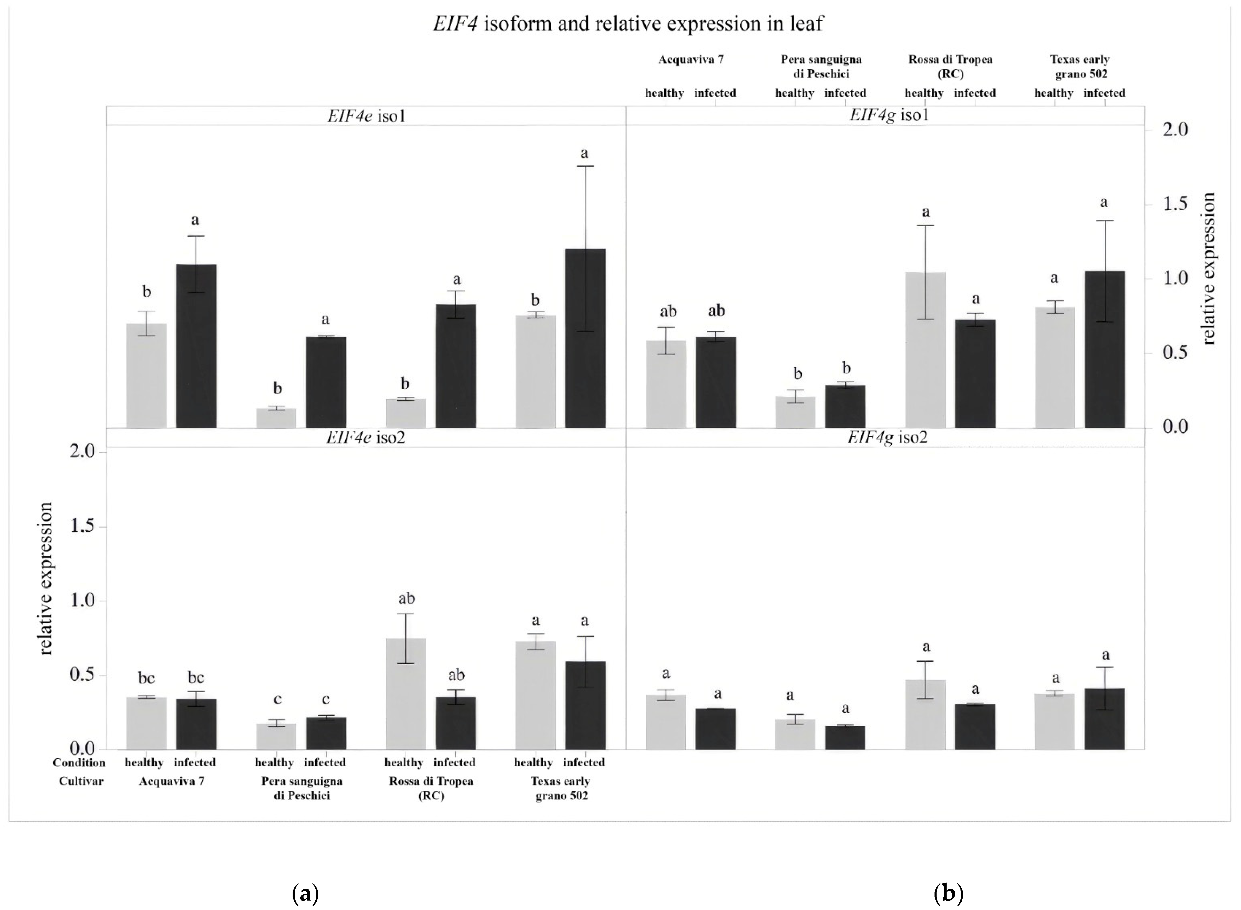 Horticulturae 10 00073 g008