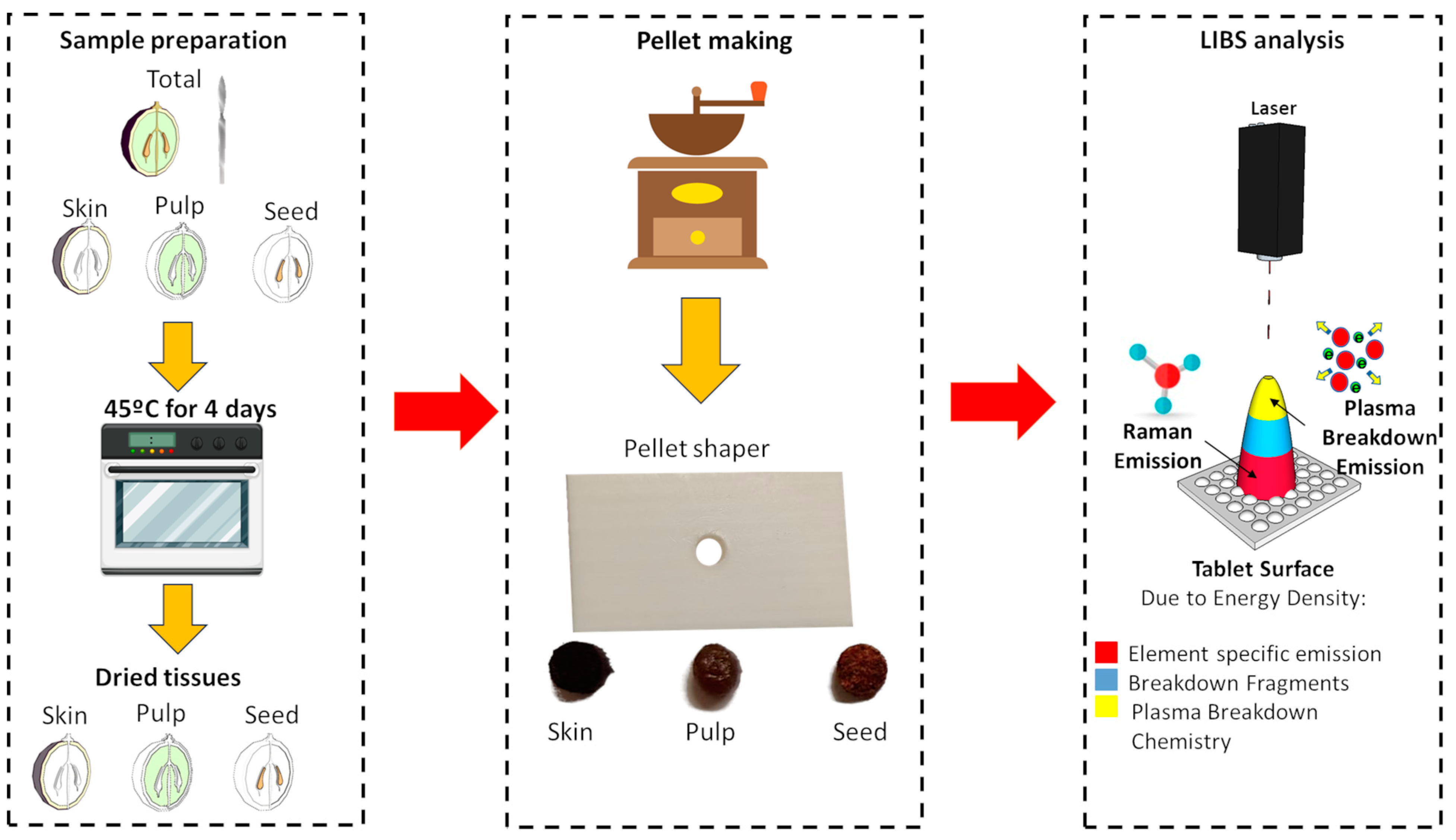 Horticulturae 10 00082 g001