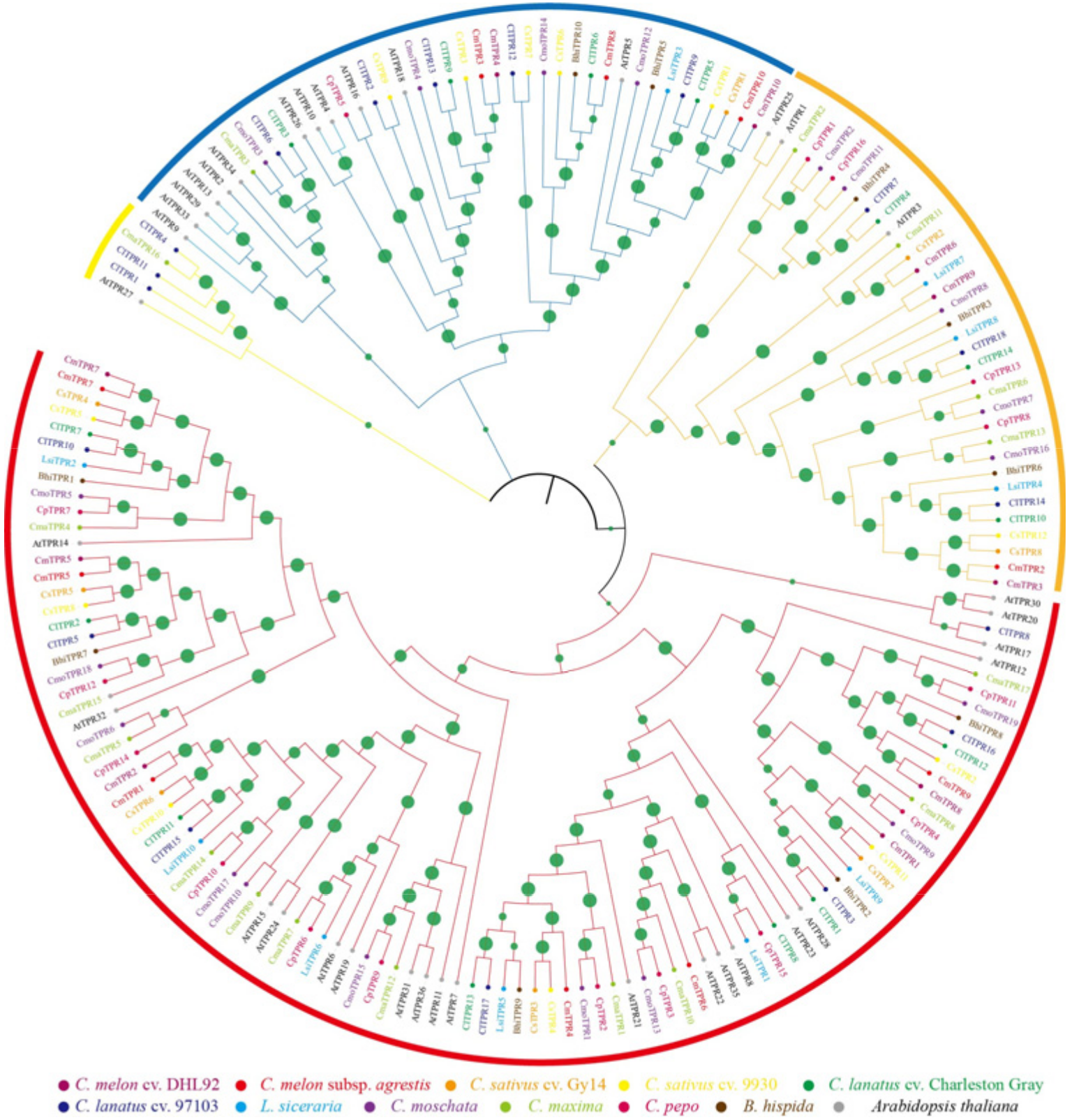 Horticulturae 10 00083 g001