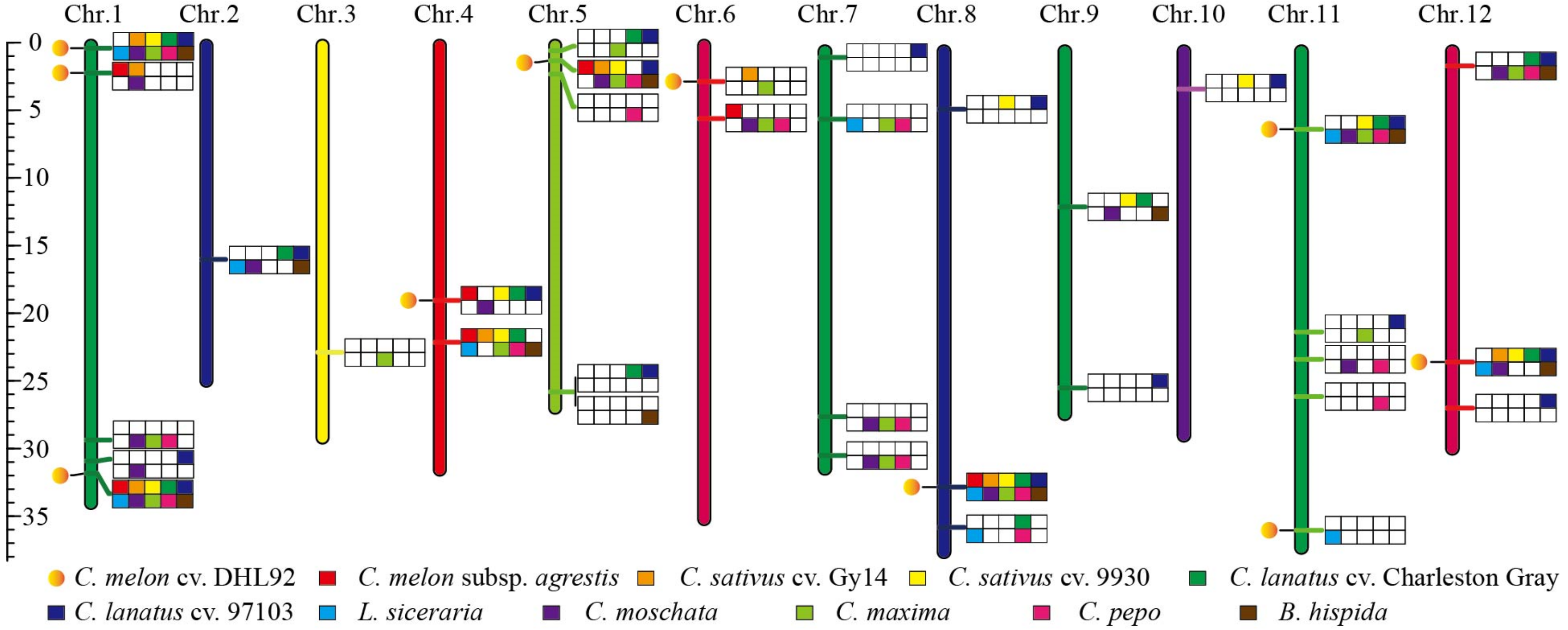 Horticulturae 10 00083 g003