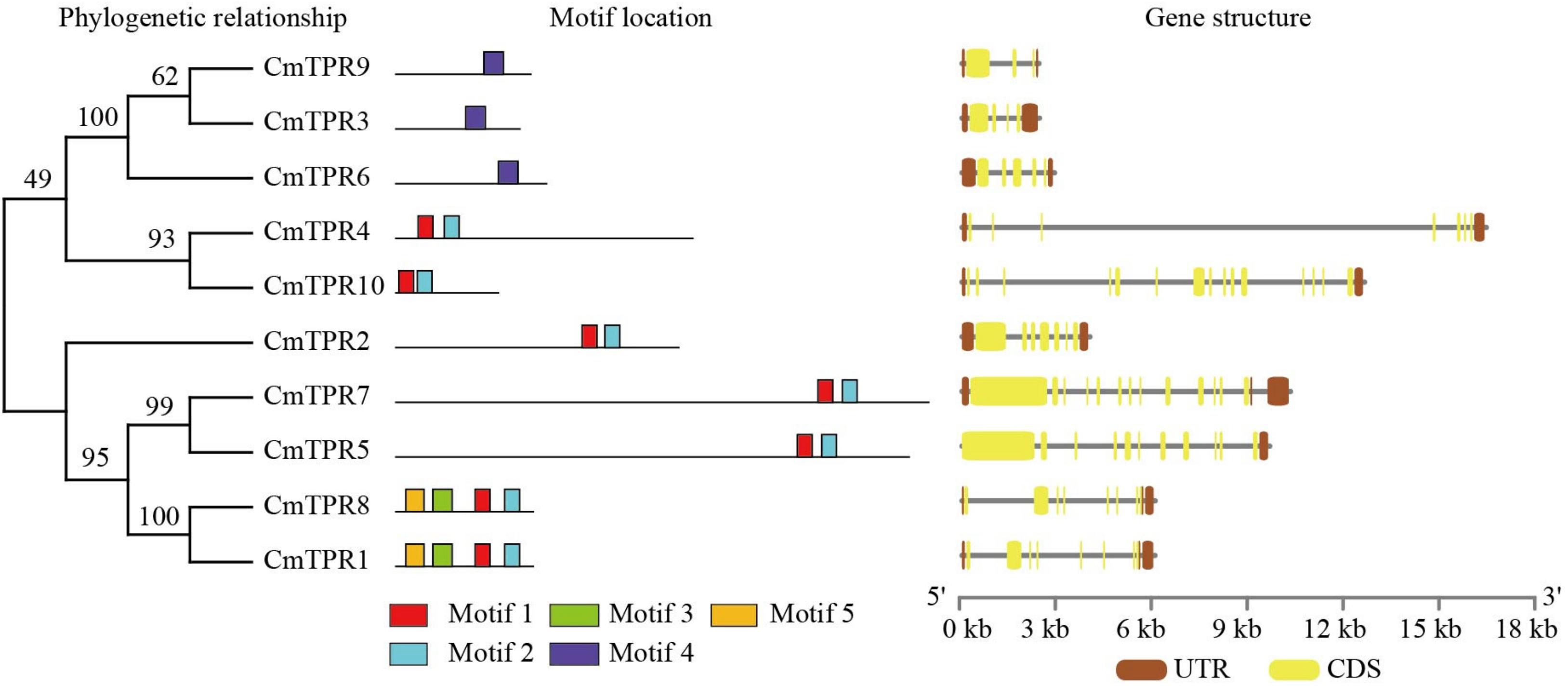 Horticulturae 10 00083 g004