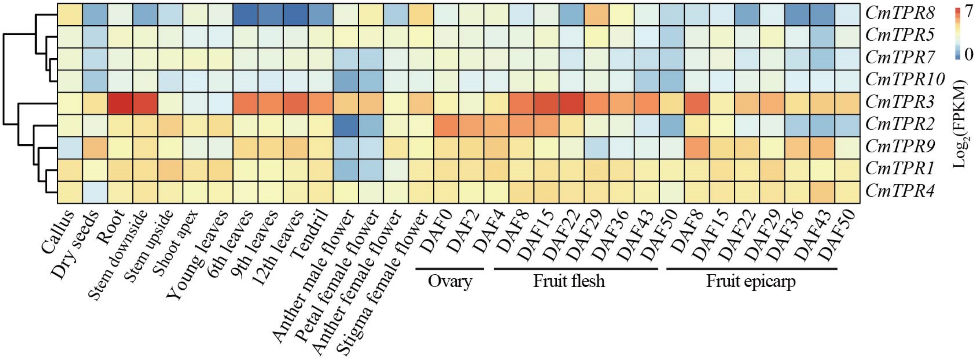 Horticulturae 10 00083 g006