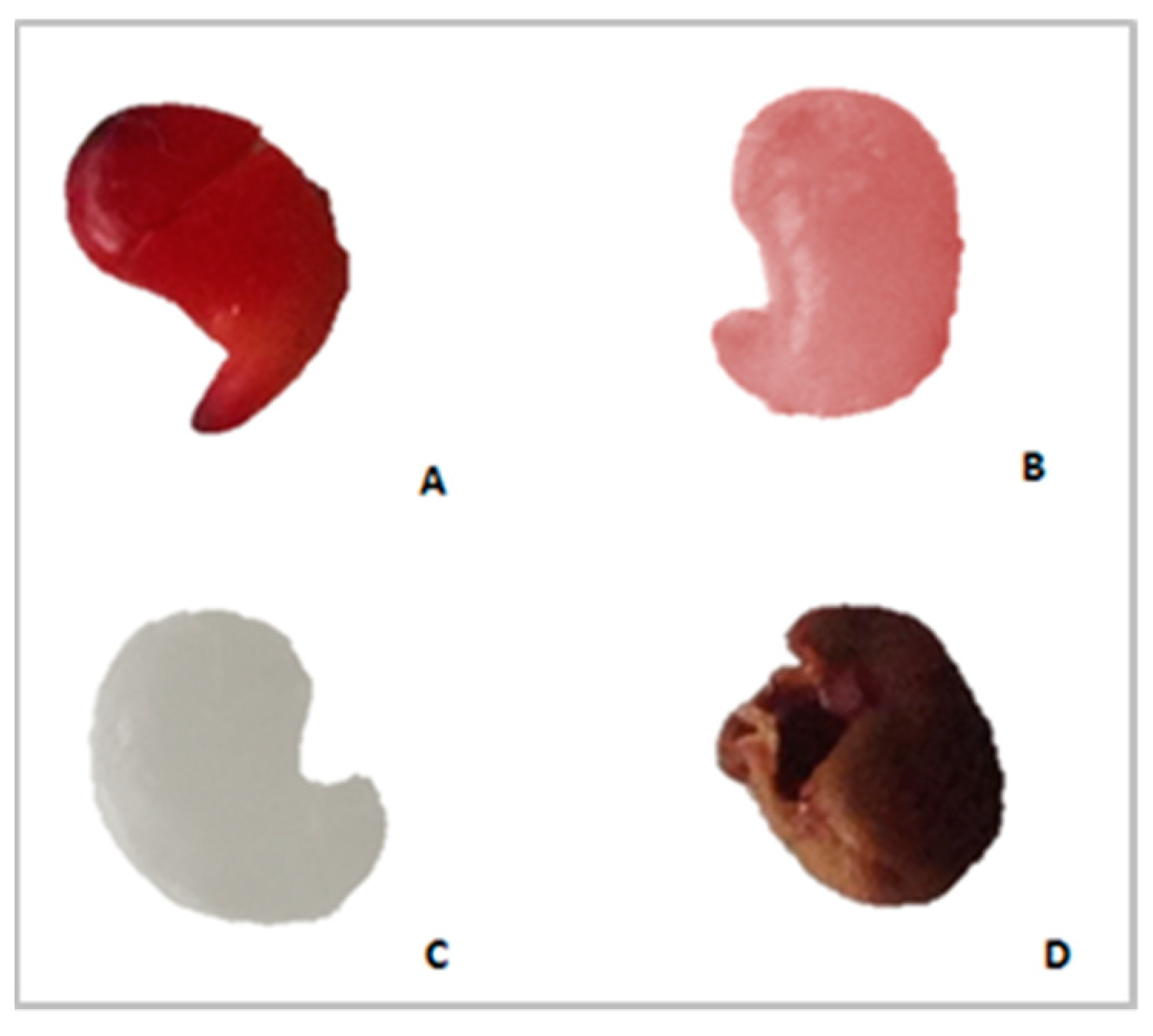 Horticulturae 10 00086 g003