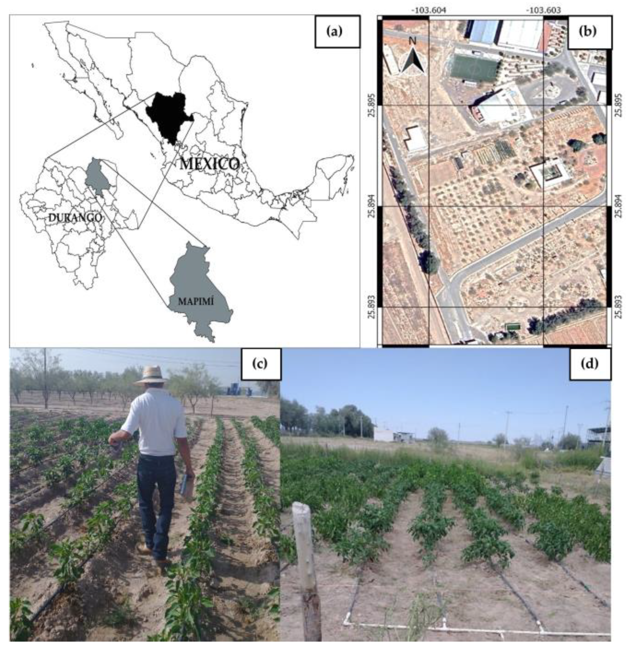 Horticulturae 10 00092 g001