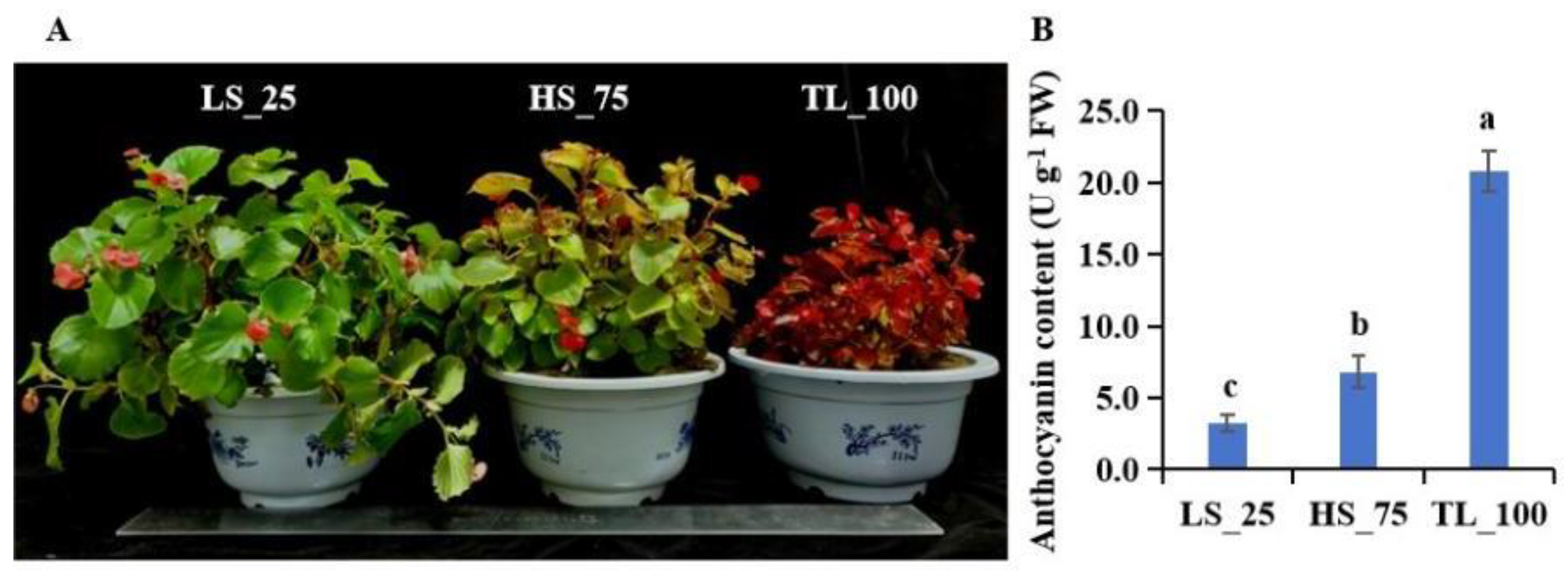 Horticulturae 10 00096 g001