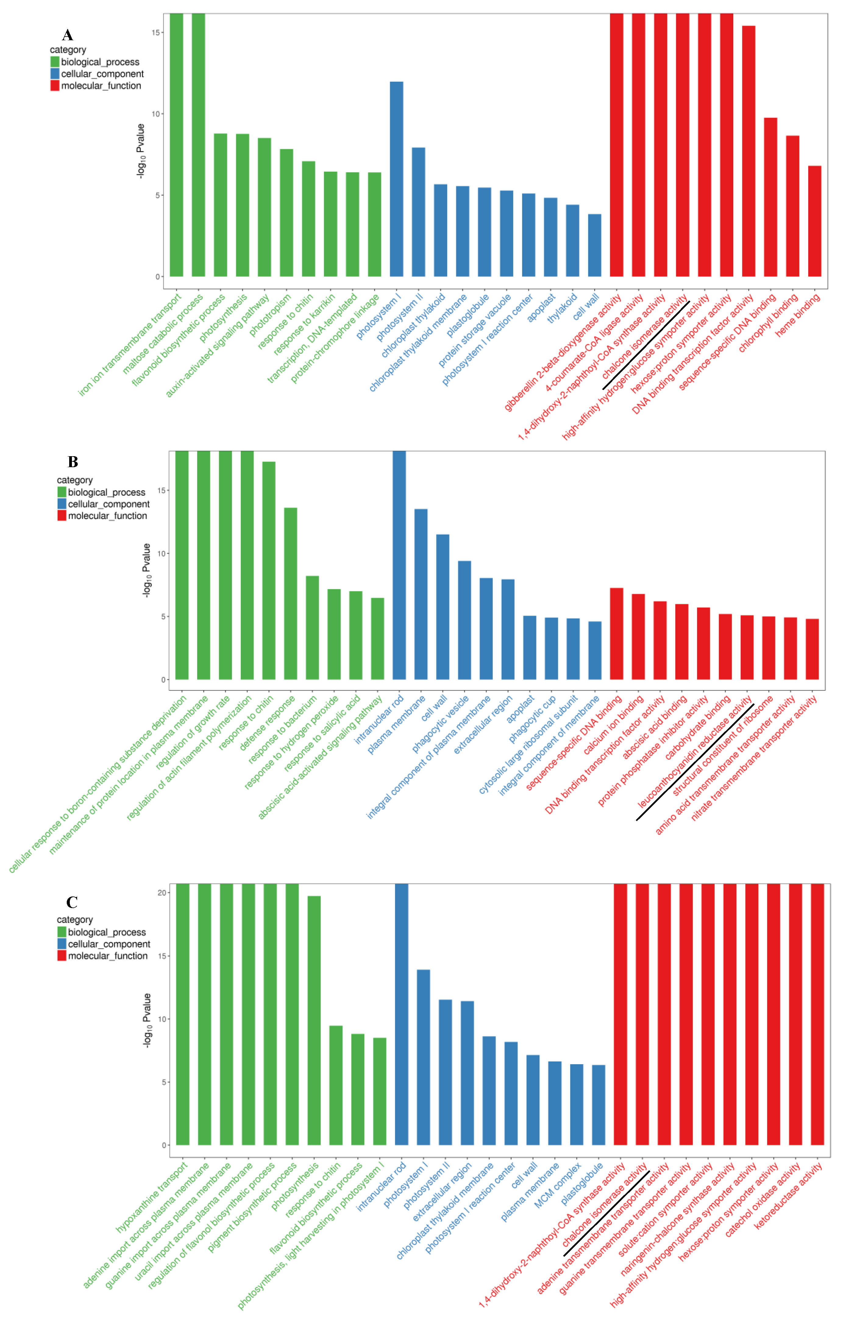 Horticulturae 10 00096 g003