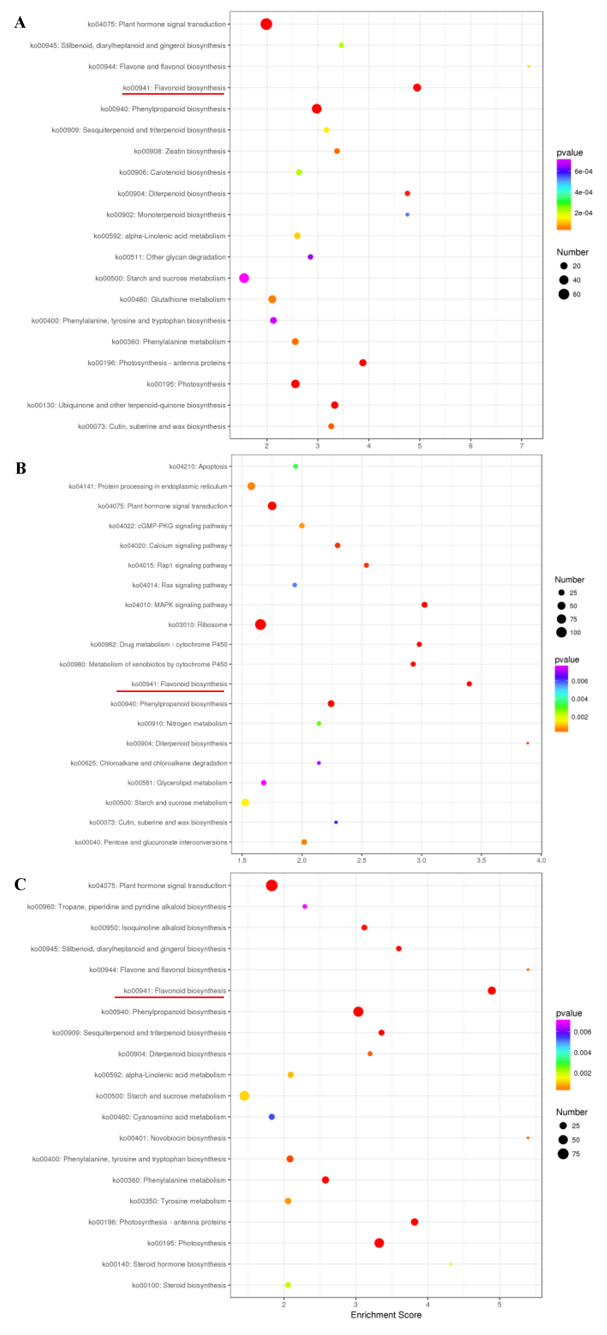 Horticulturae 10 00096 g004