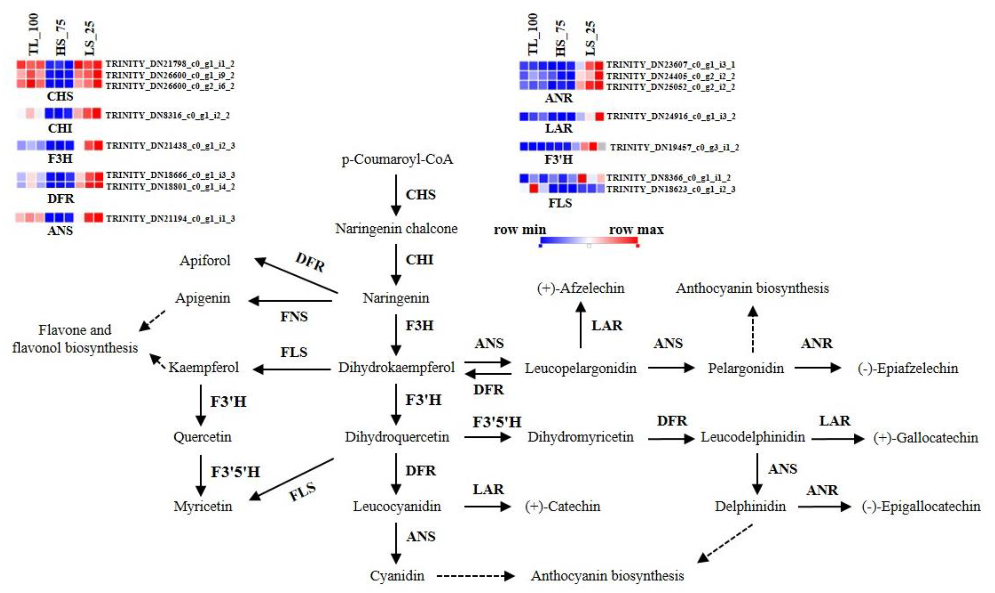 Horticulturae 10 00096 g005