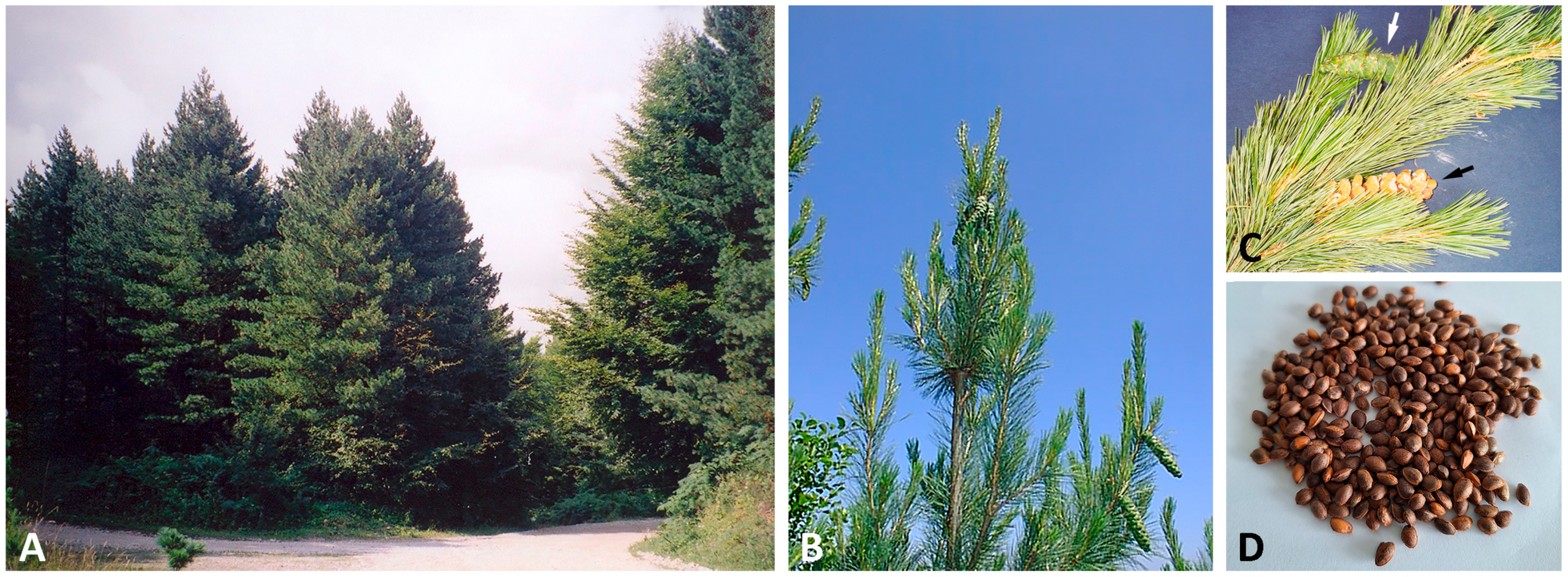 Horticulturae 10 00097 g001