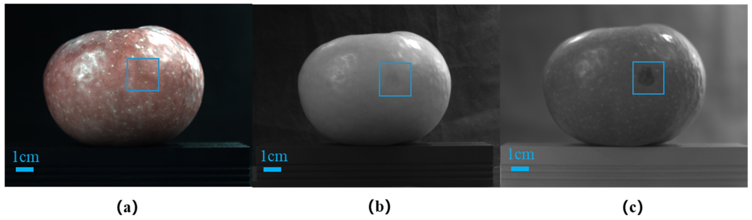 Horticulturae 10 00100 g003 Horticulturae 10 00100 g003