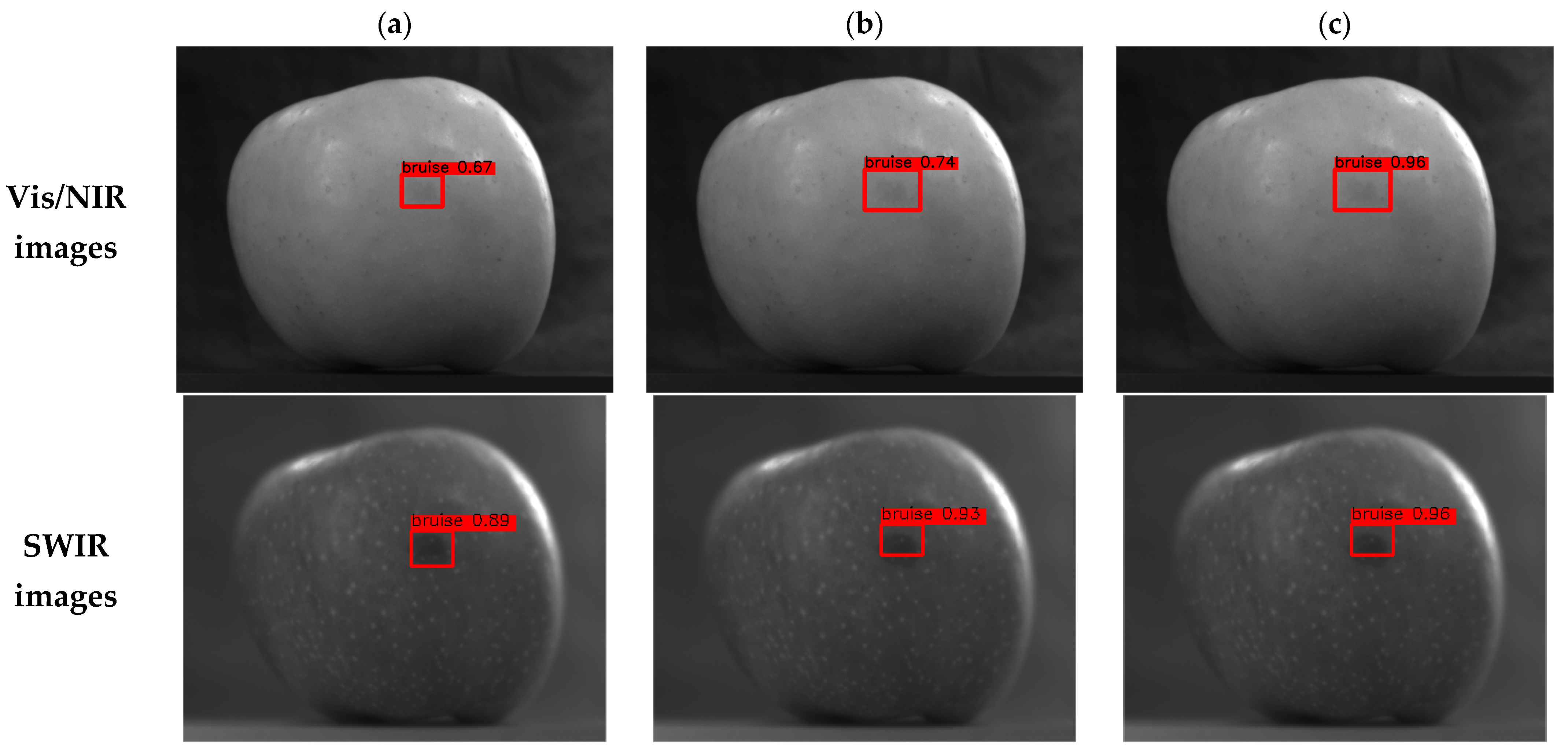 Horticulturae 10 00100 g009 Horticulturae 10 00100 g009