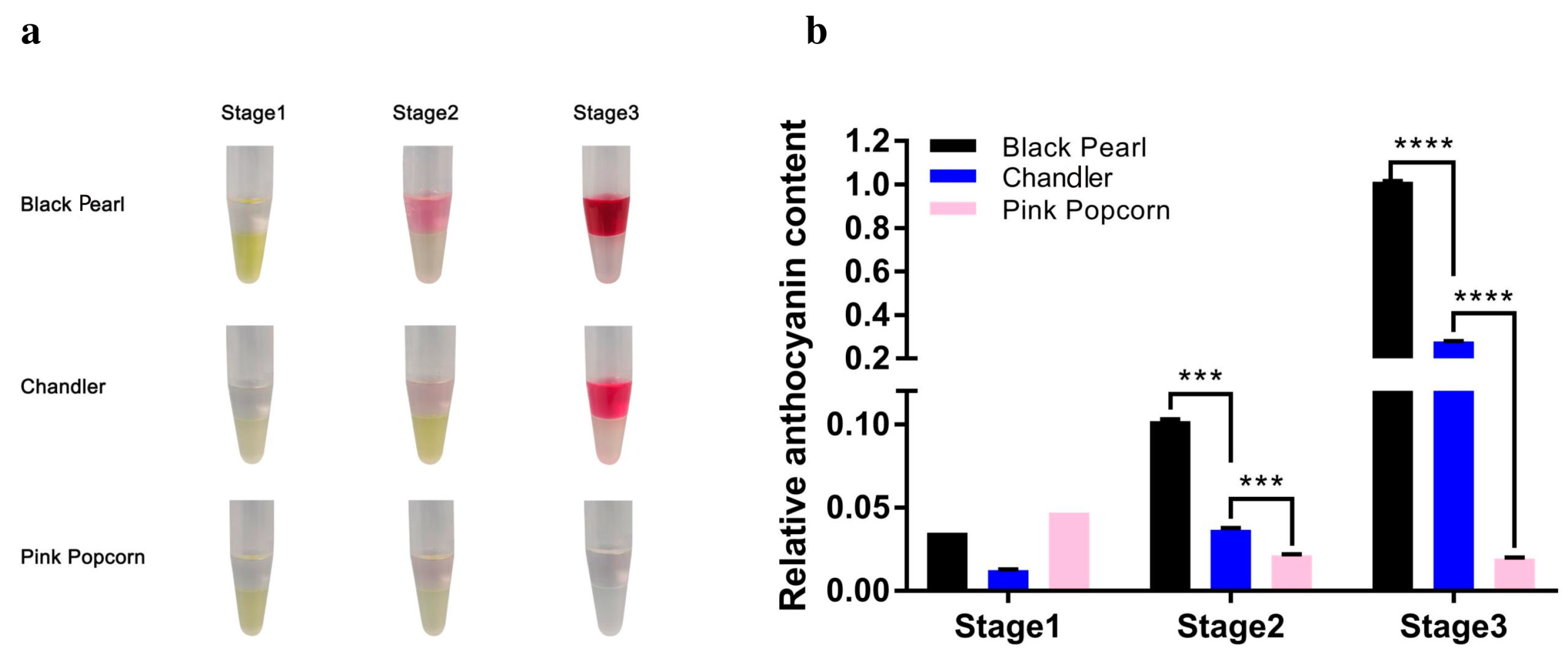 Horticulturae 10 00105 g002 Horticulturae 10 00105 g002