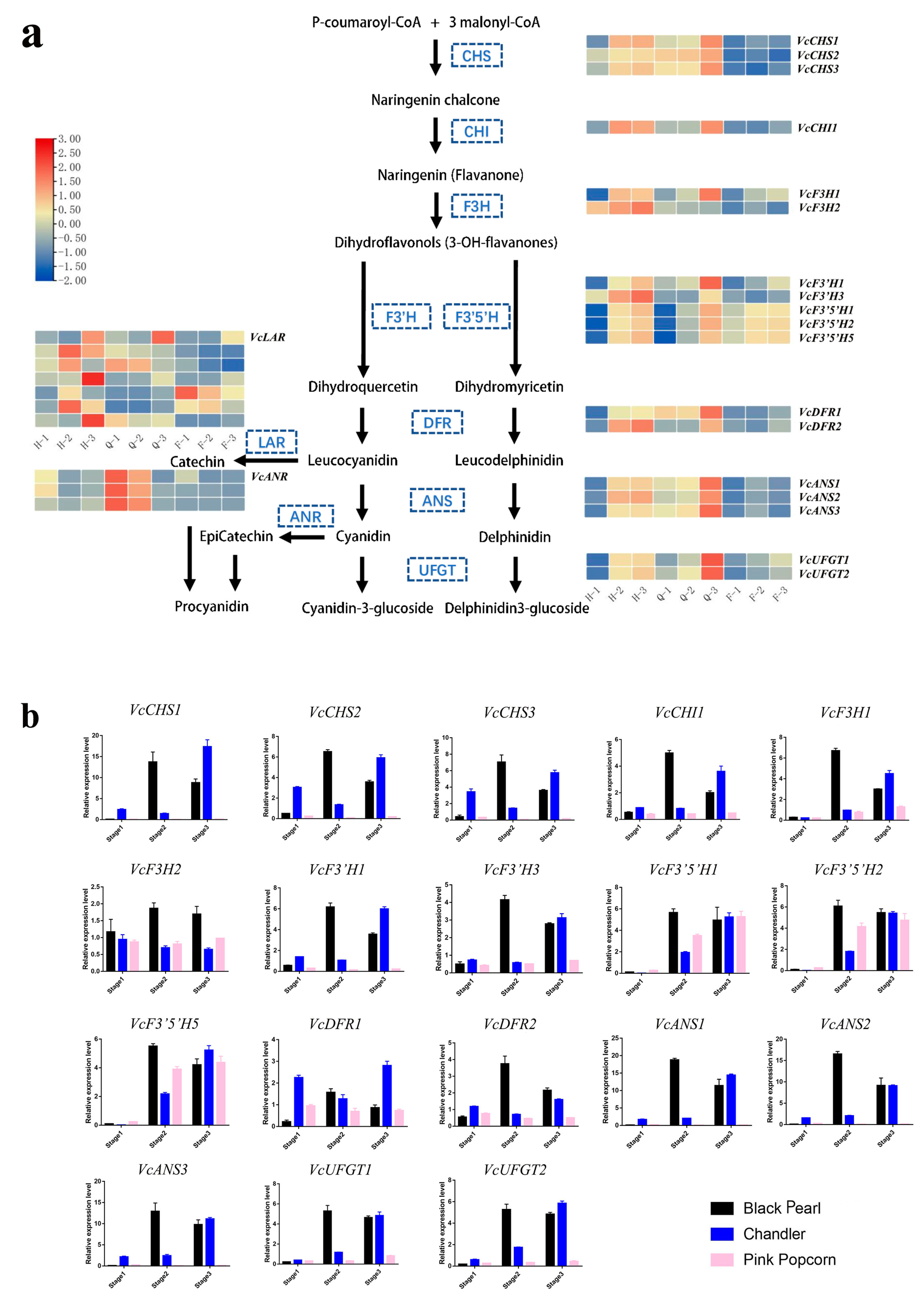 Horticulturae 10 00105 g004 Horticulturae 10 00105 g004