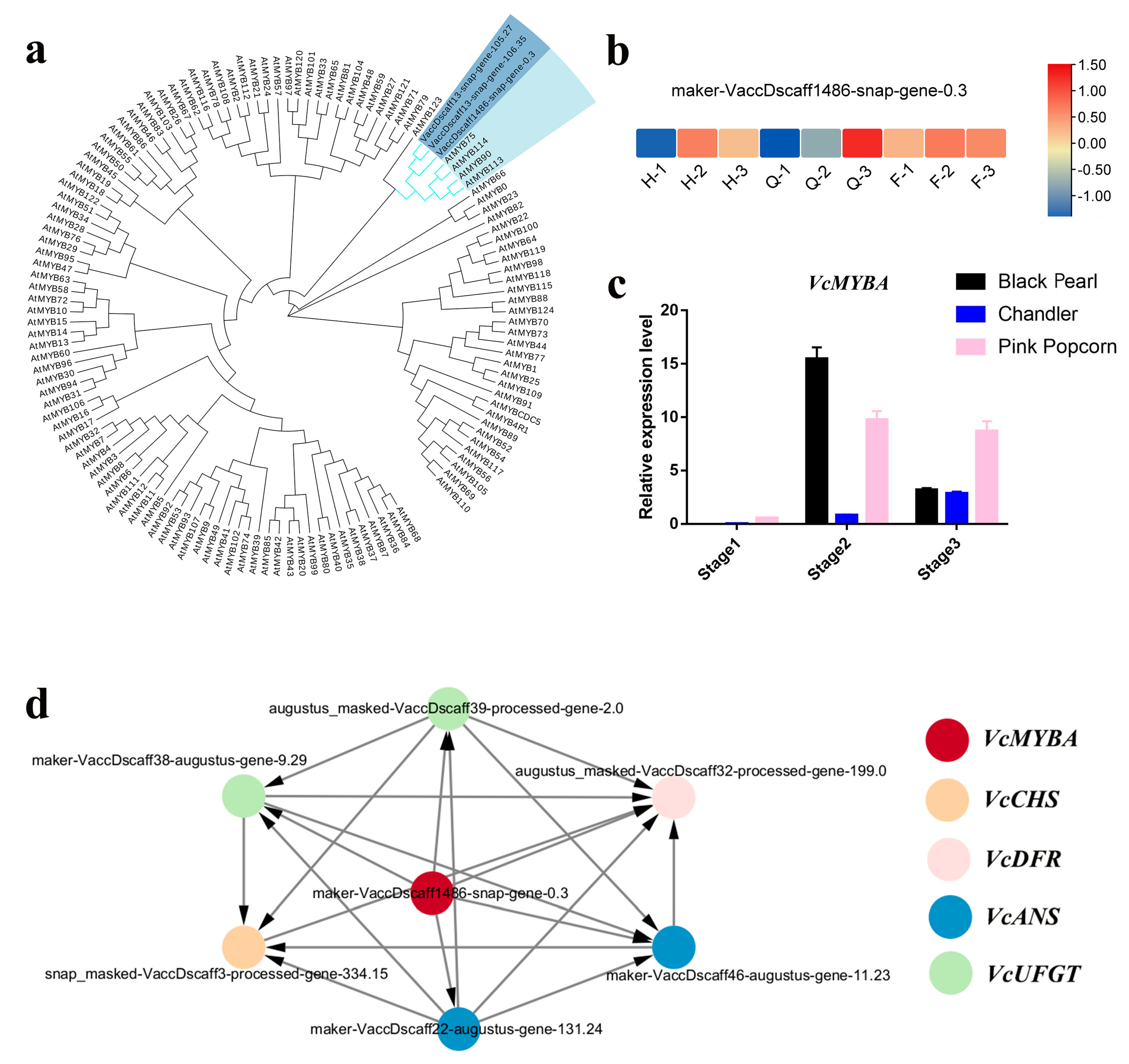 Horticulturae 10 00105 g005 Horticulturae 10 00105 g005