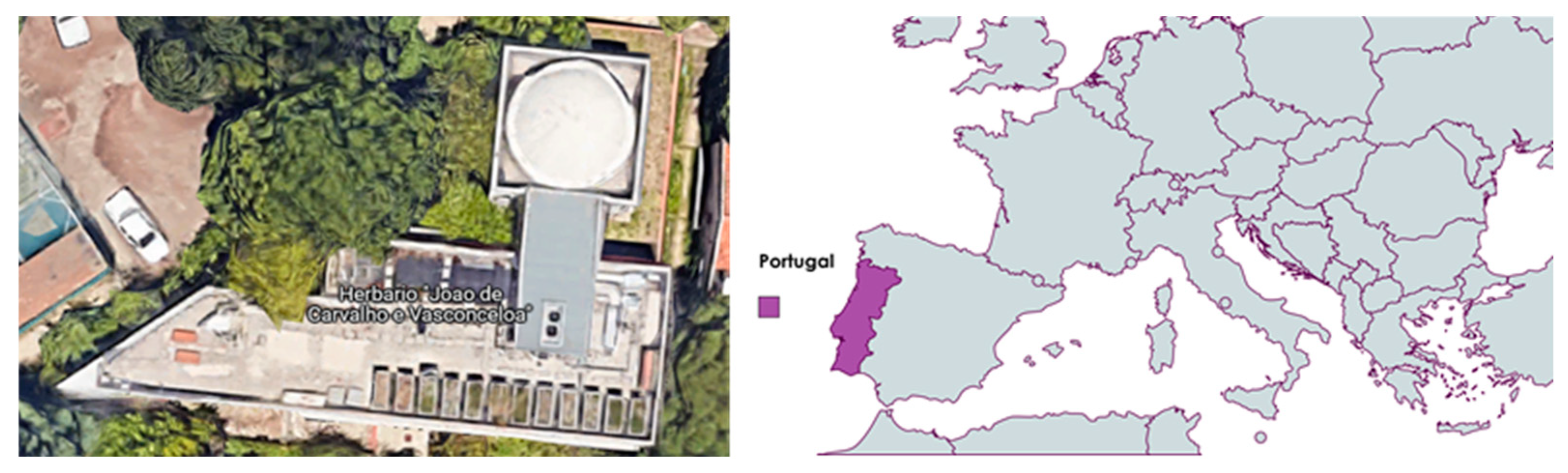Horticulturae 10 00106 g001