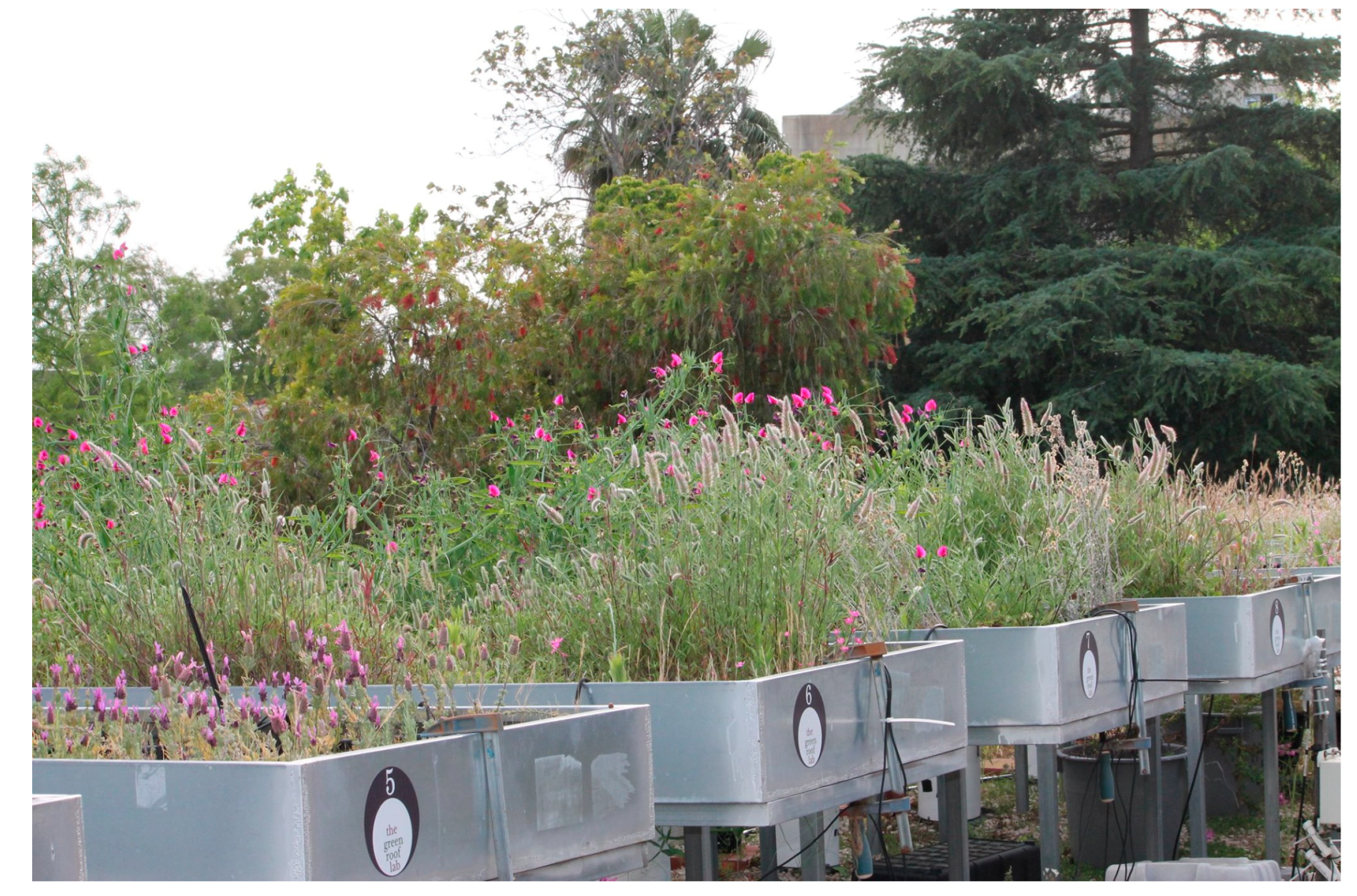 Horticulturae 10 00106 g004