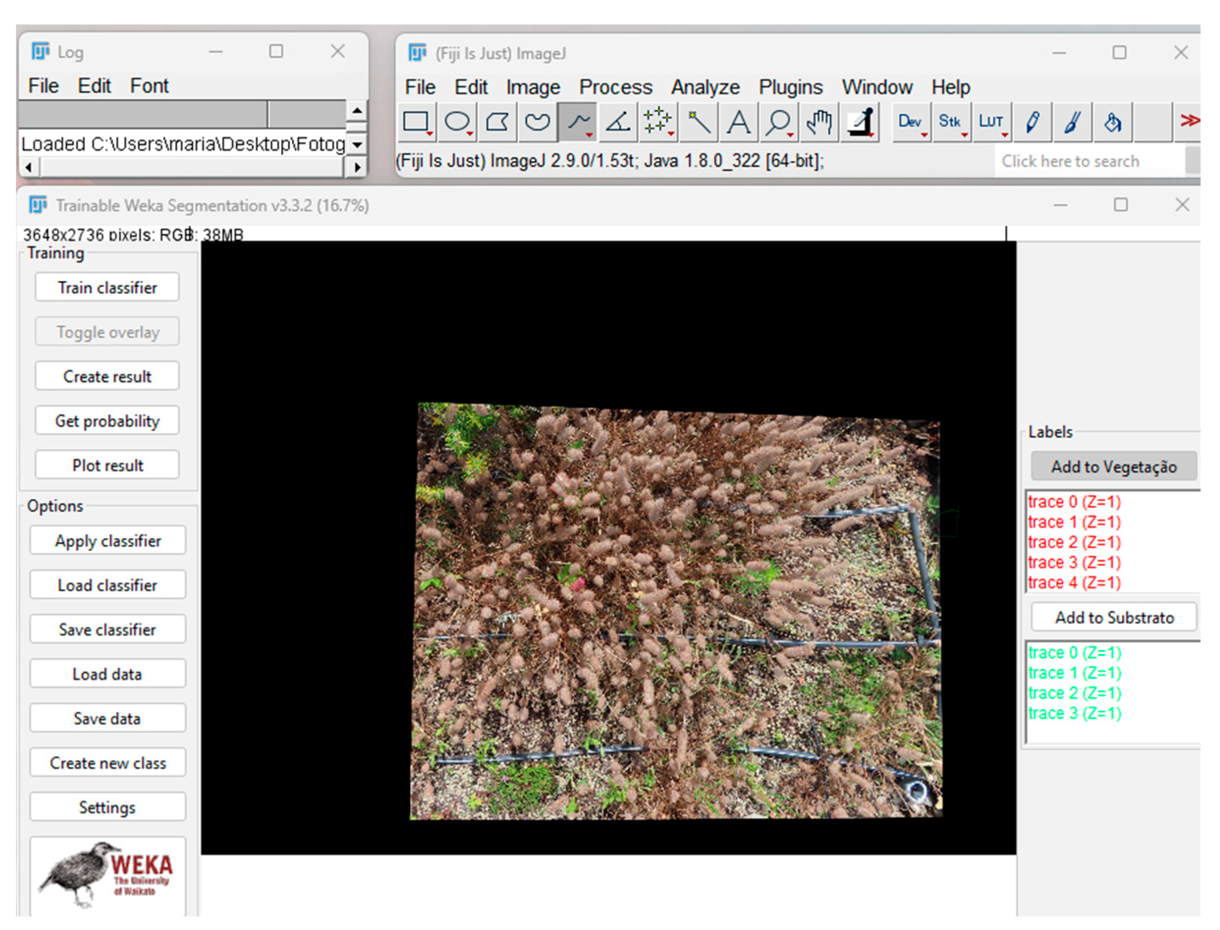 Horticulturae 10 00106 g008