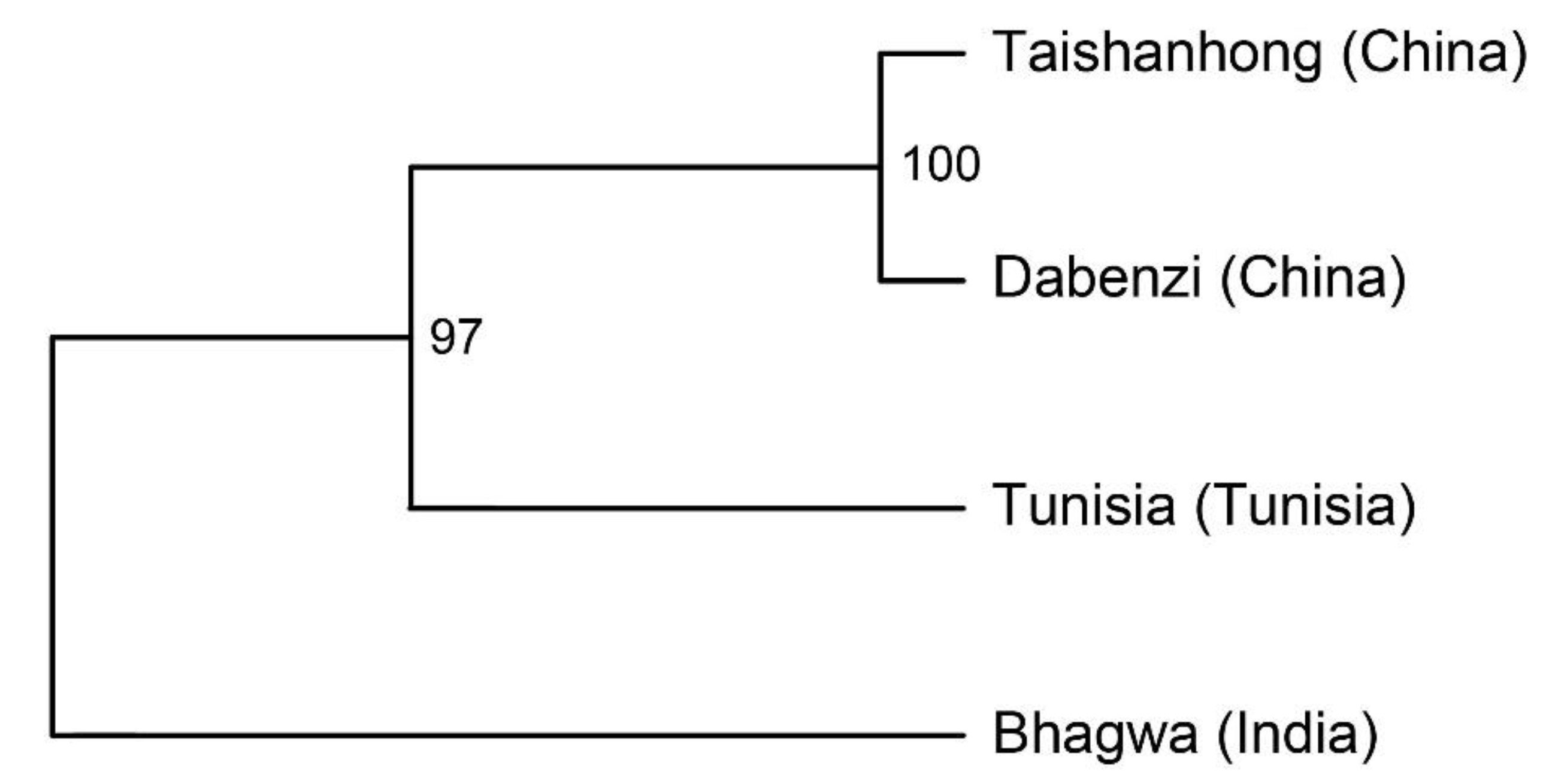 Horticulturae 10 00111 g001