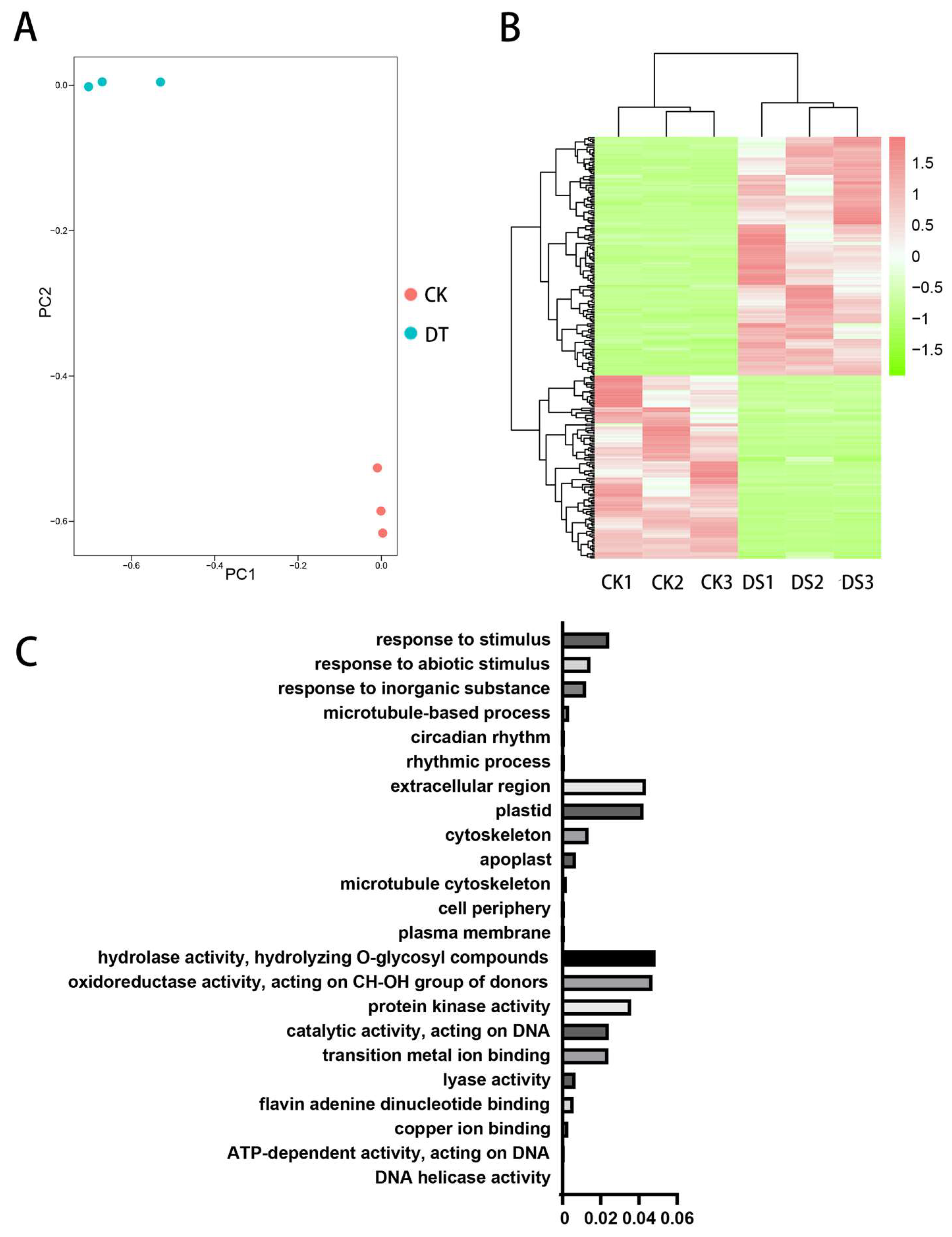 Full-Length Transcriptome of Camellia japonica (Naidong