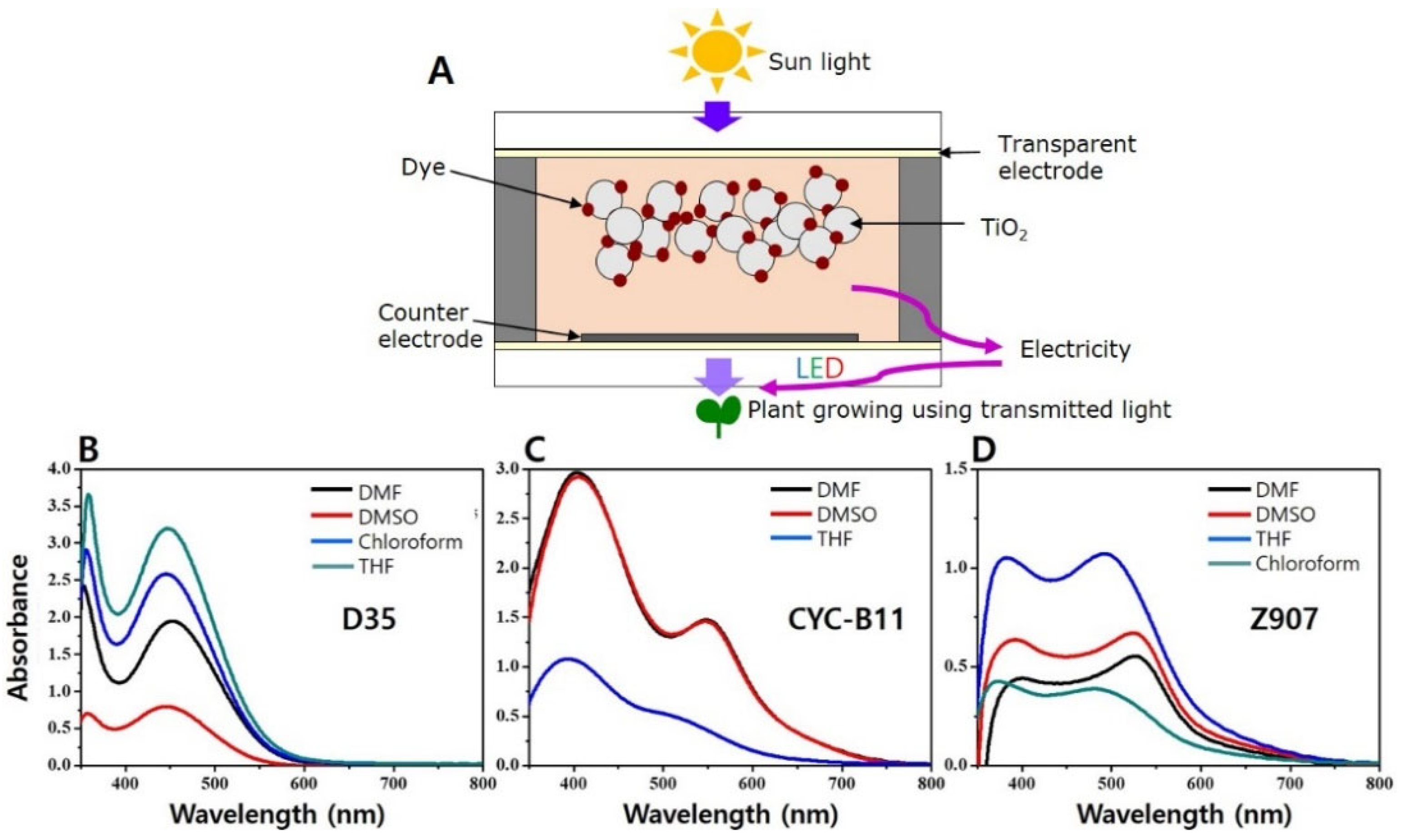 Horticulturae 10 00115 g001