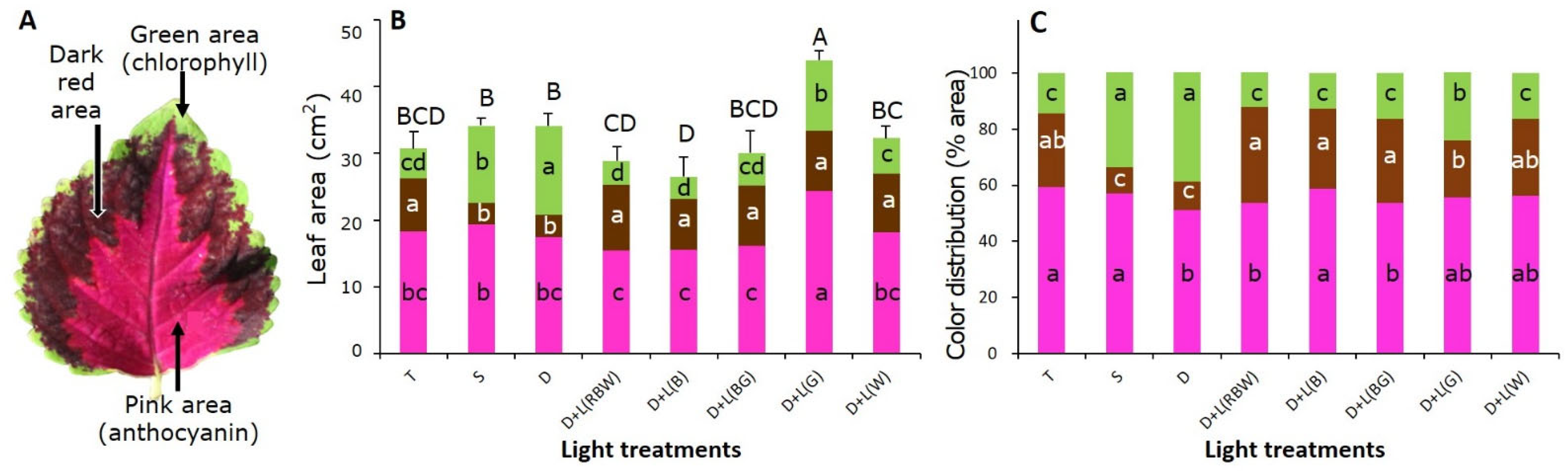 Horticulturae 10 00115 g005