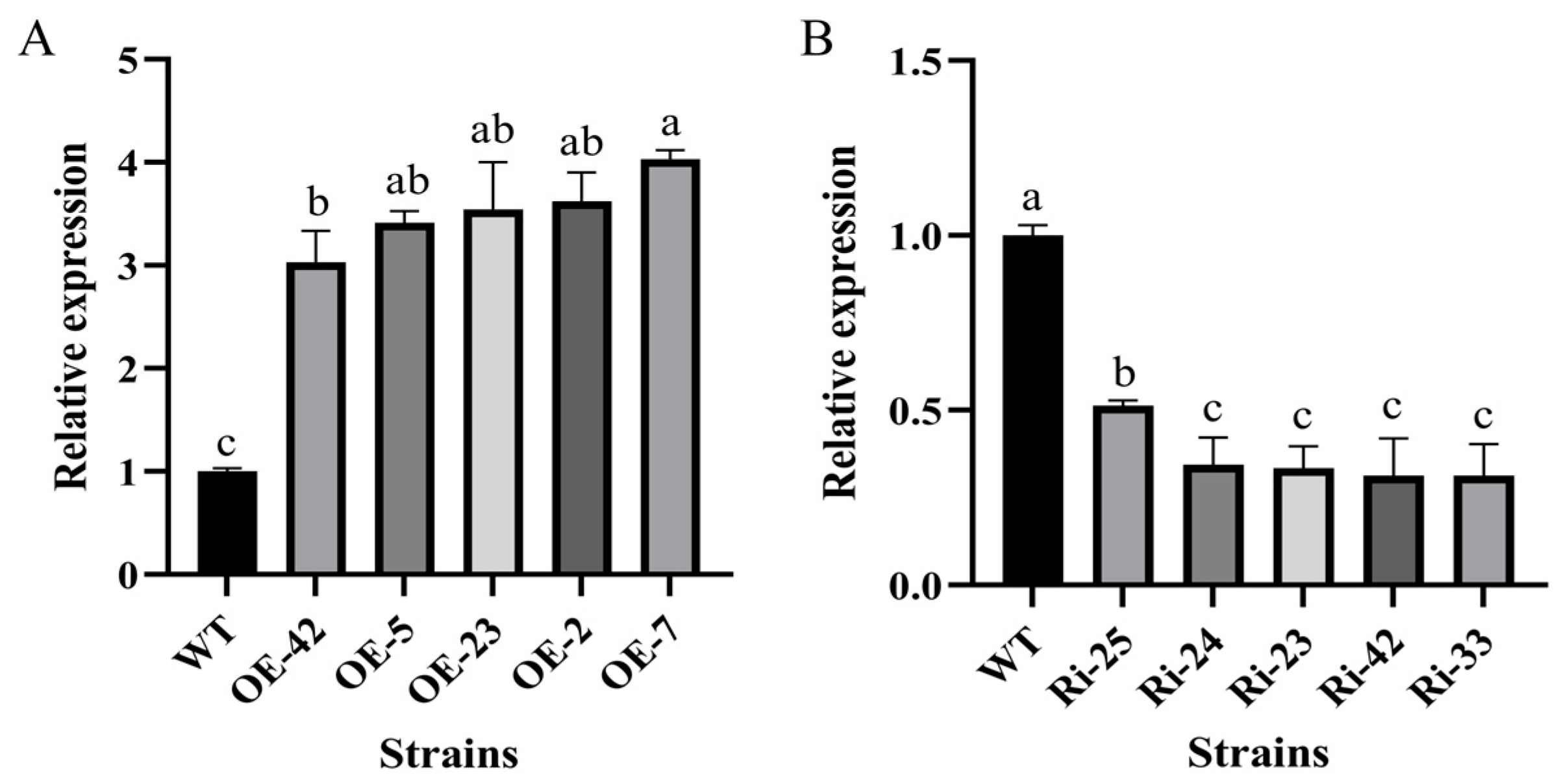 Horticulturae 10 00116 g004