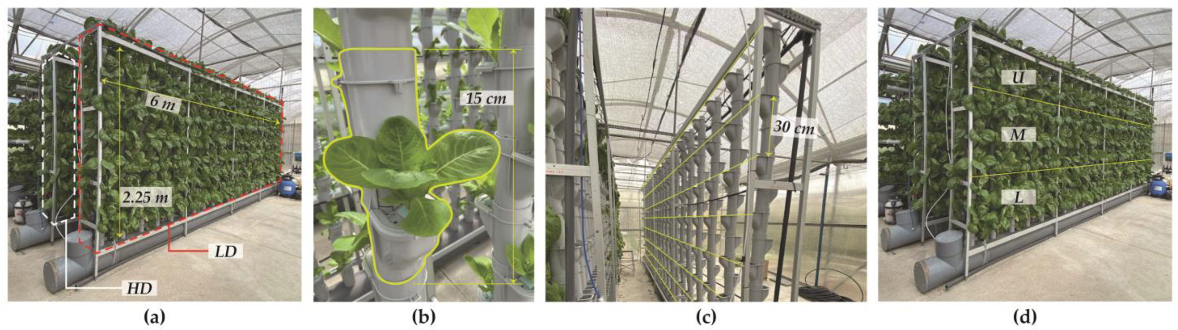 Horticulturae 10 00117 g002