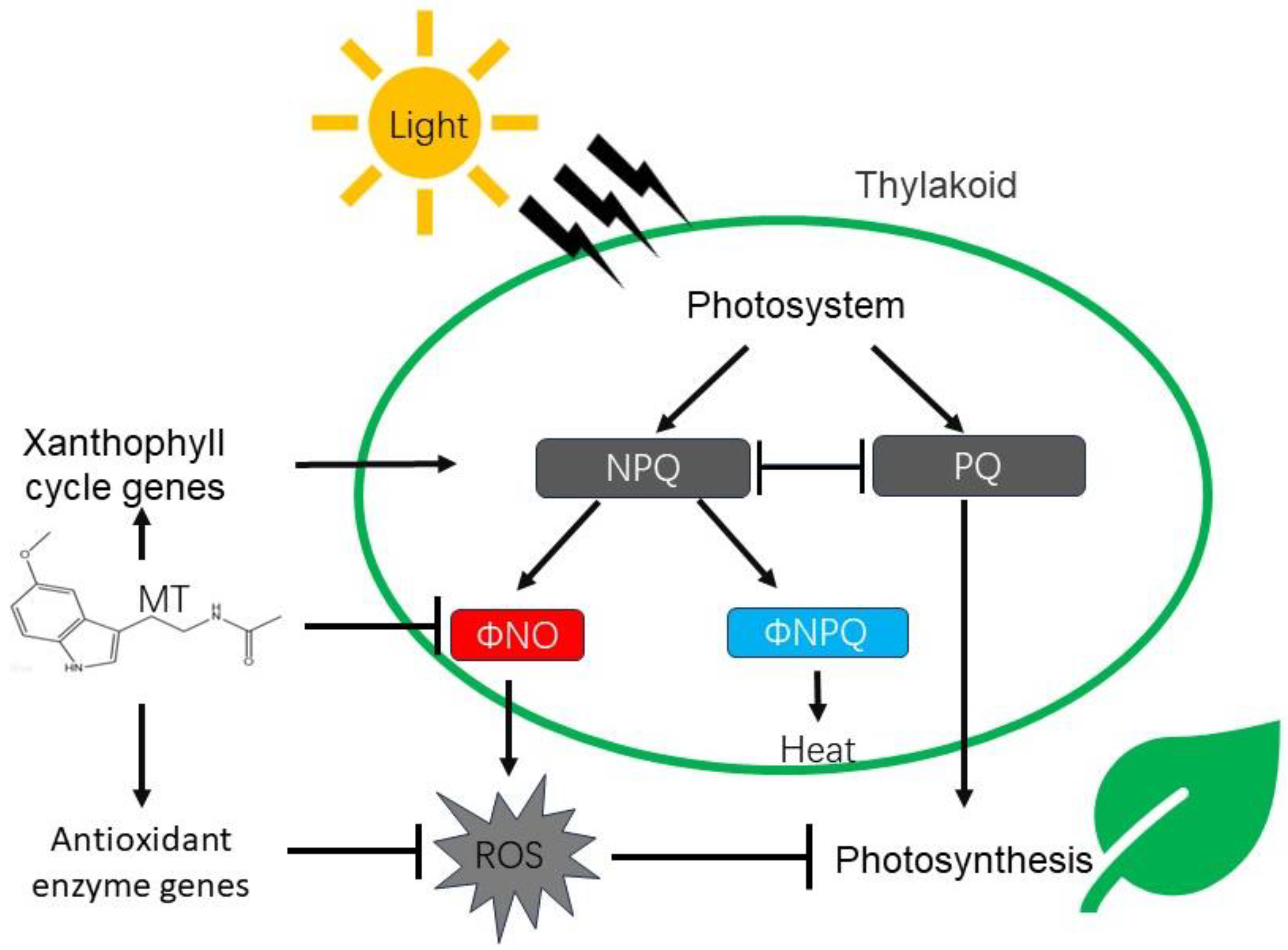 Horticulturae 10 00118 g007
