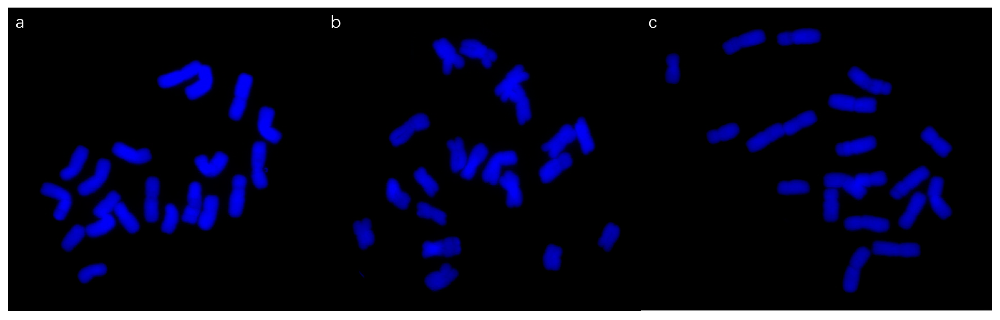 Horticulturae 10 00121 g003