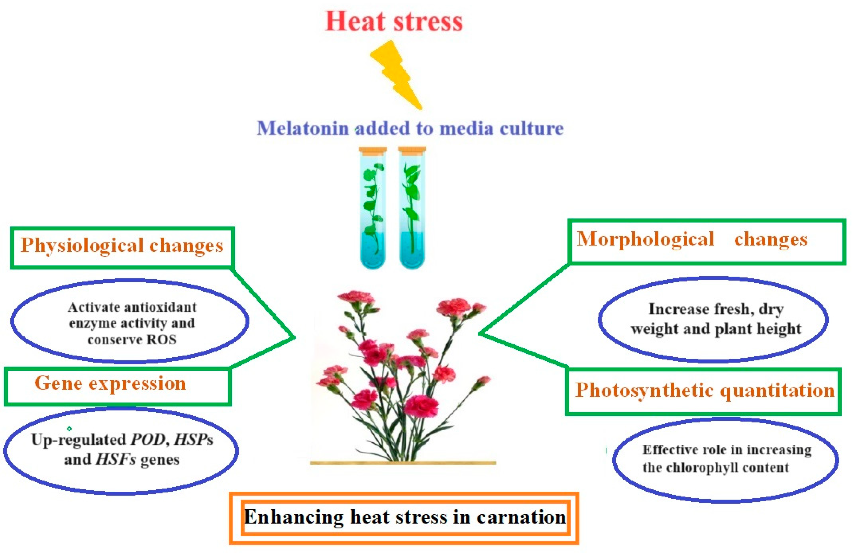 Horticulturae 10 00122 g008