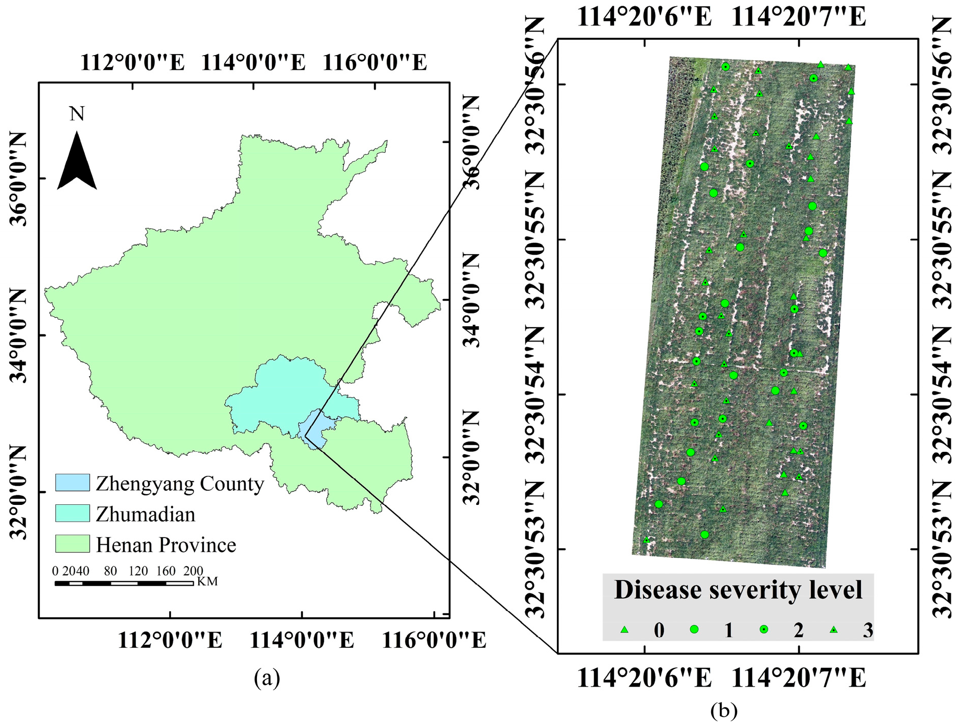 Horticulturae 10 00128 g001
