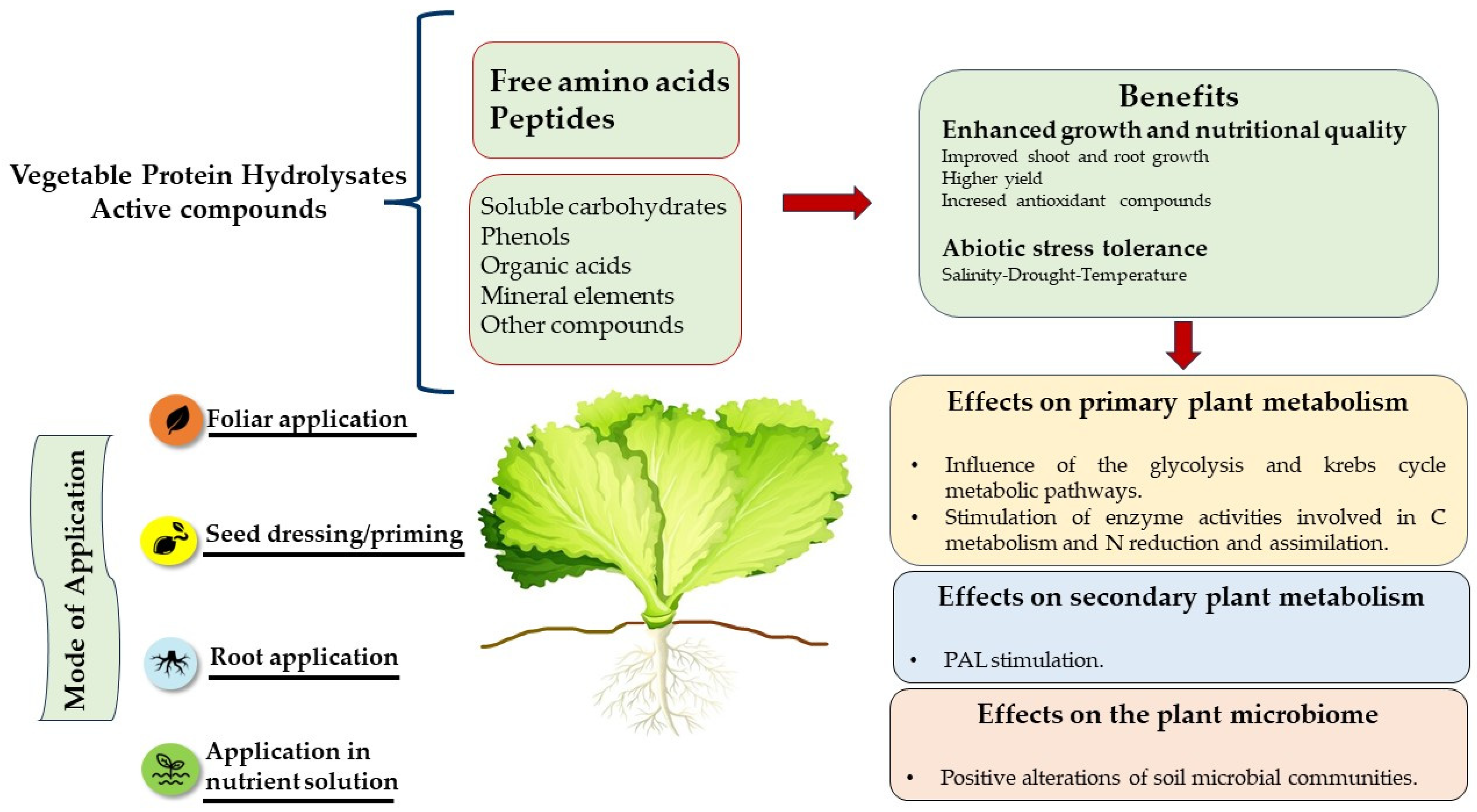 Horticulturae 10 00132 g001